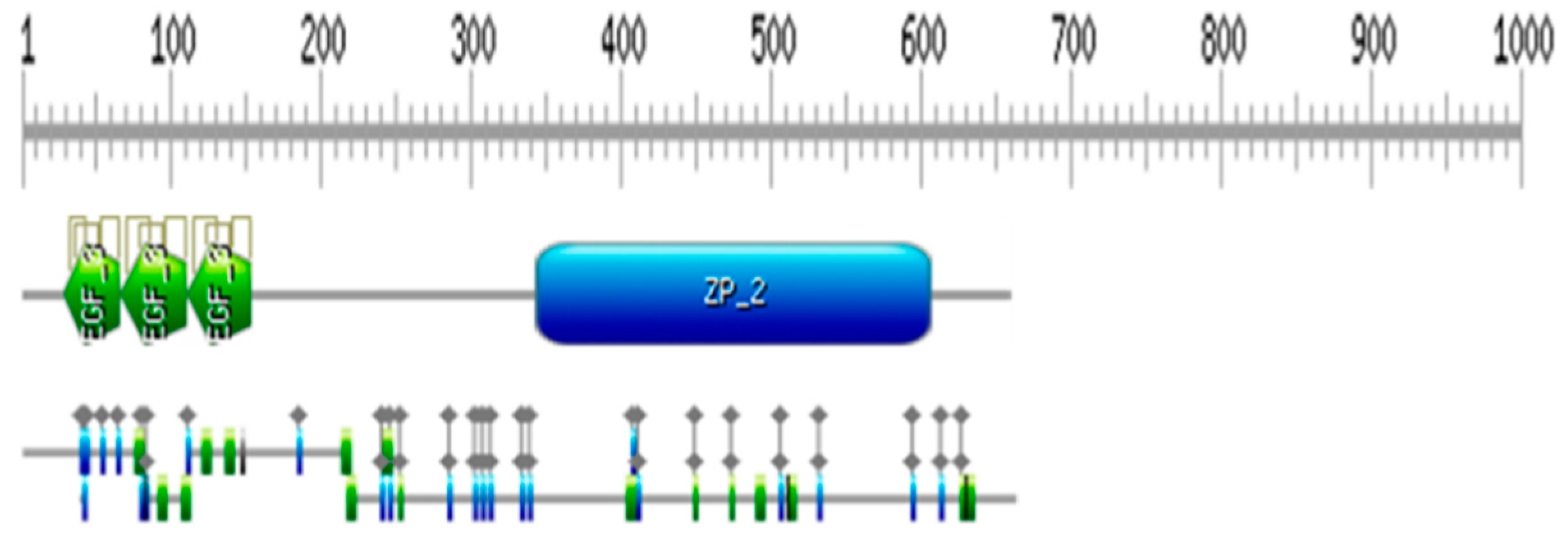 Preprints 82903 g006