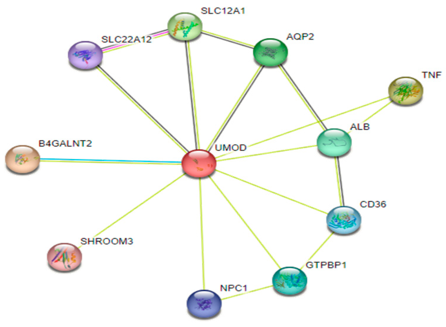 Preprints 82903 g011