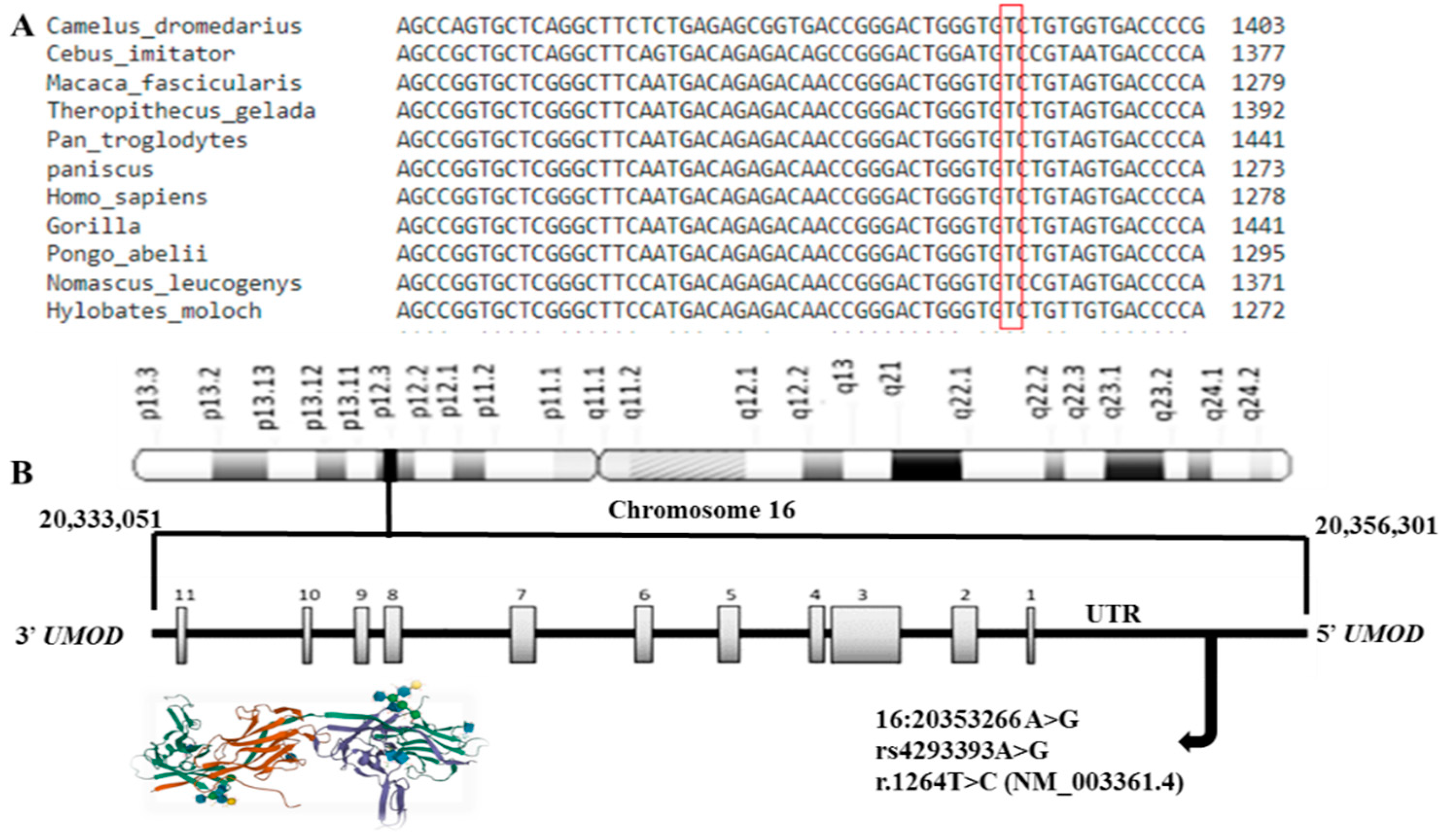 Preprints 82903 g014