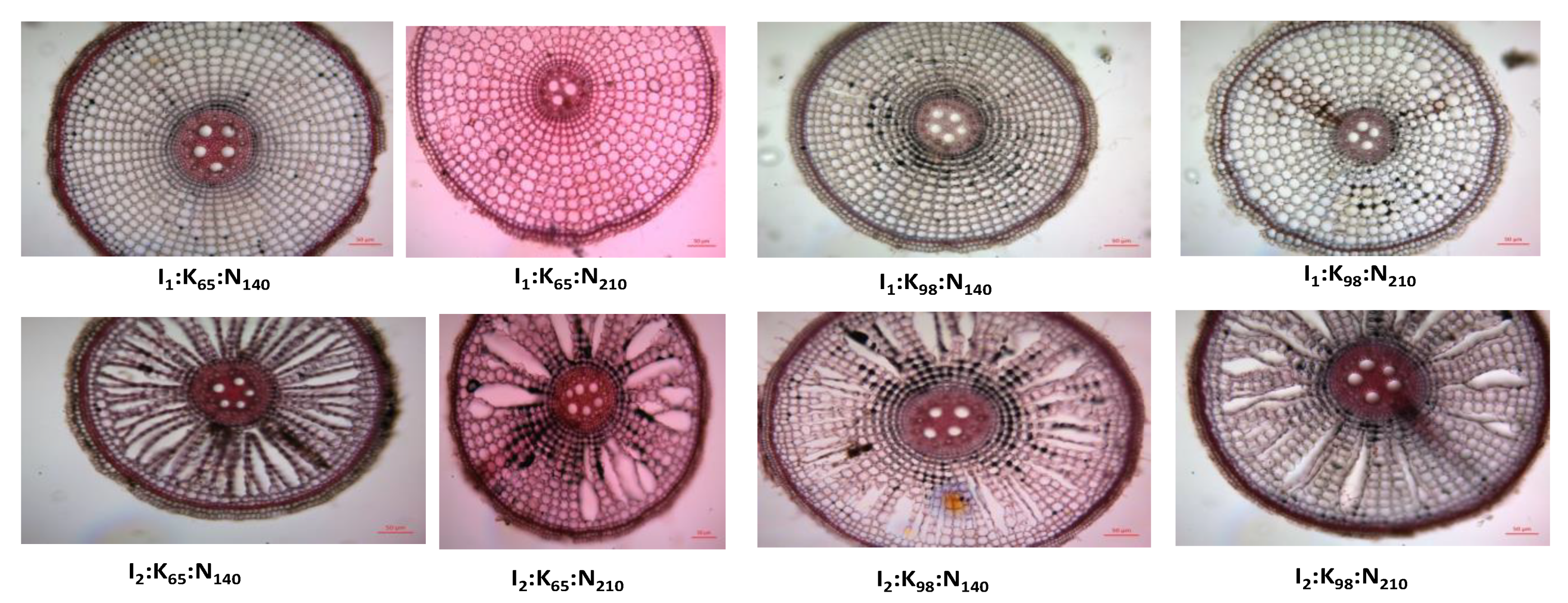 Preprints 71431 g006