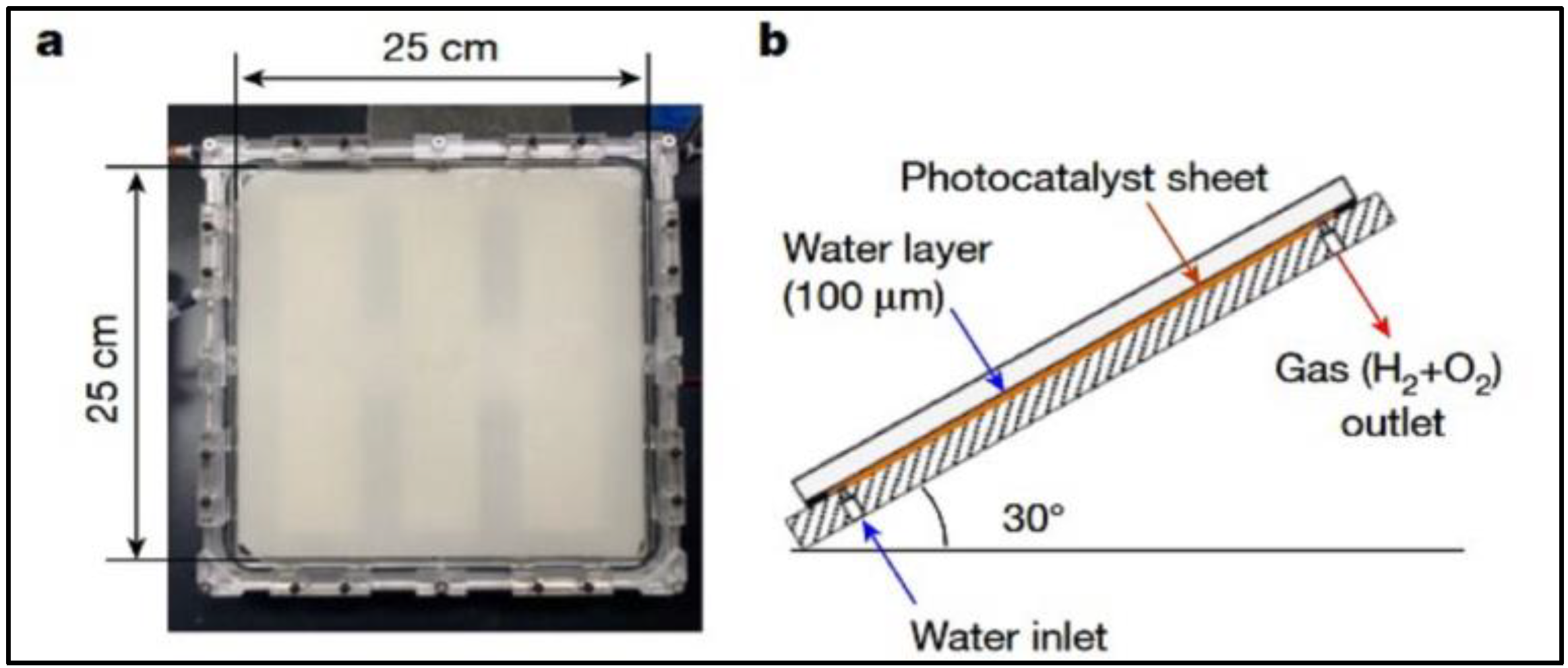 Preprints 111628 g016