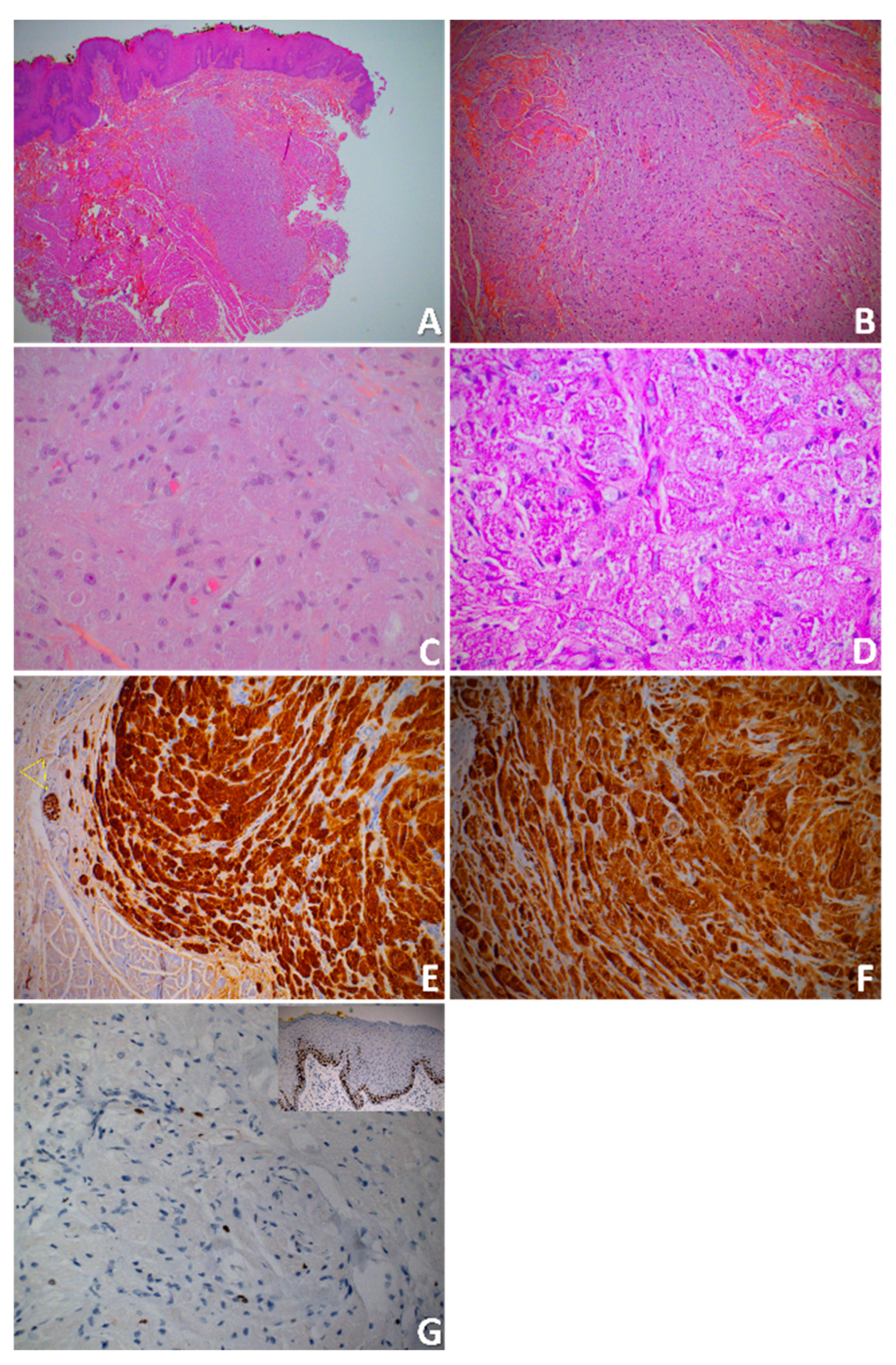 Preprints 98085 g002