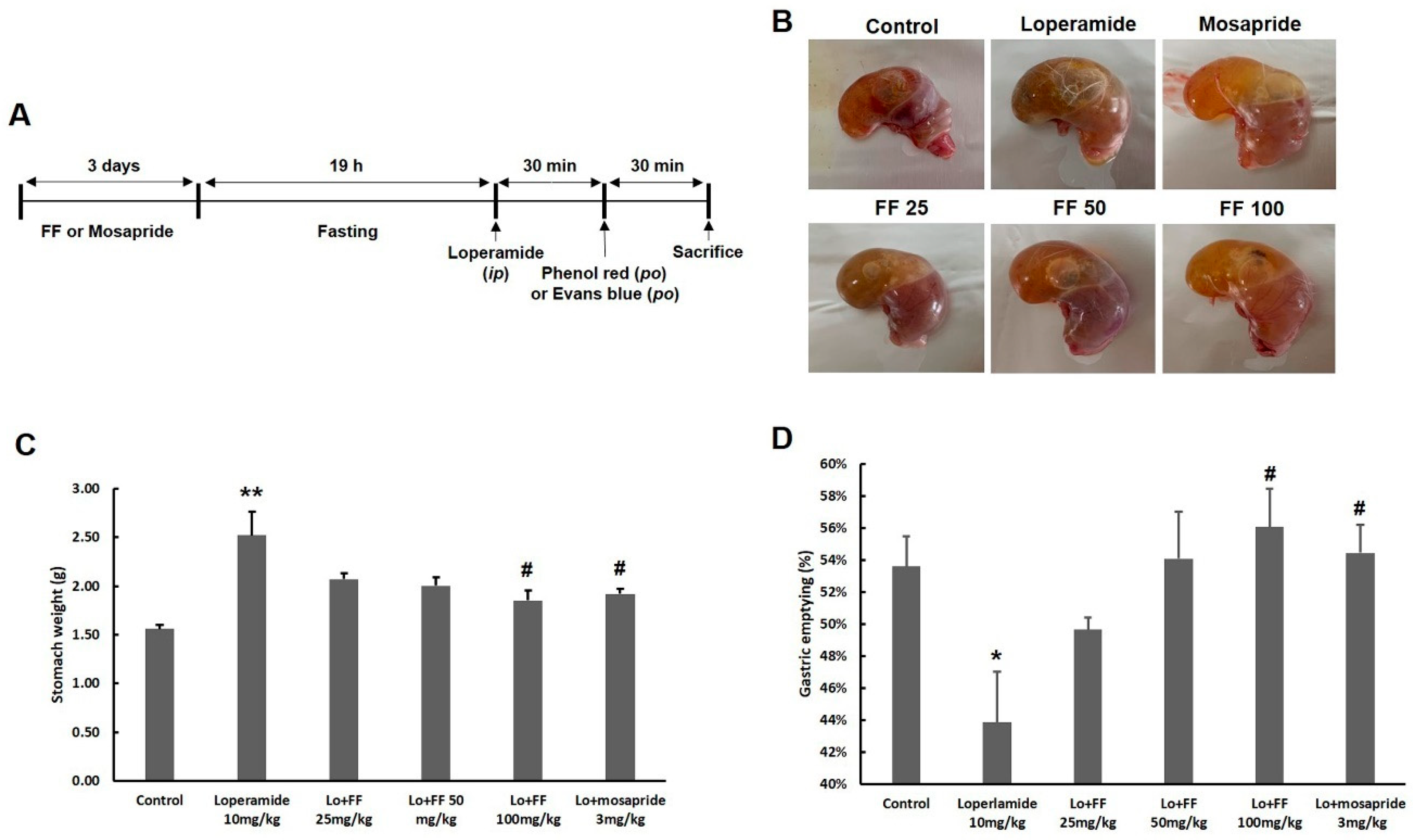 Preprints 73828 g007