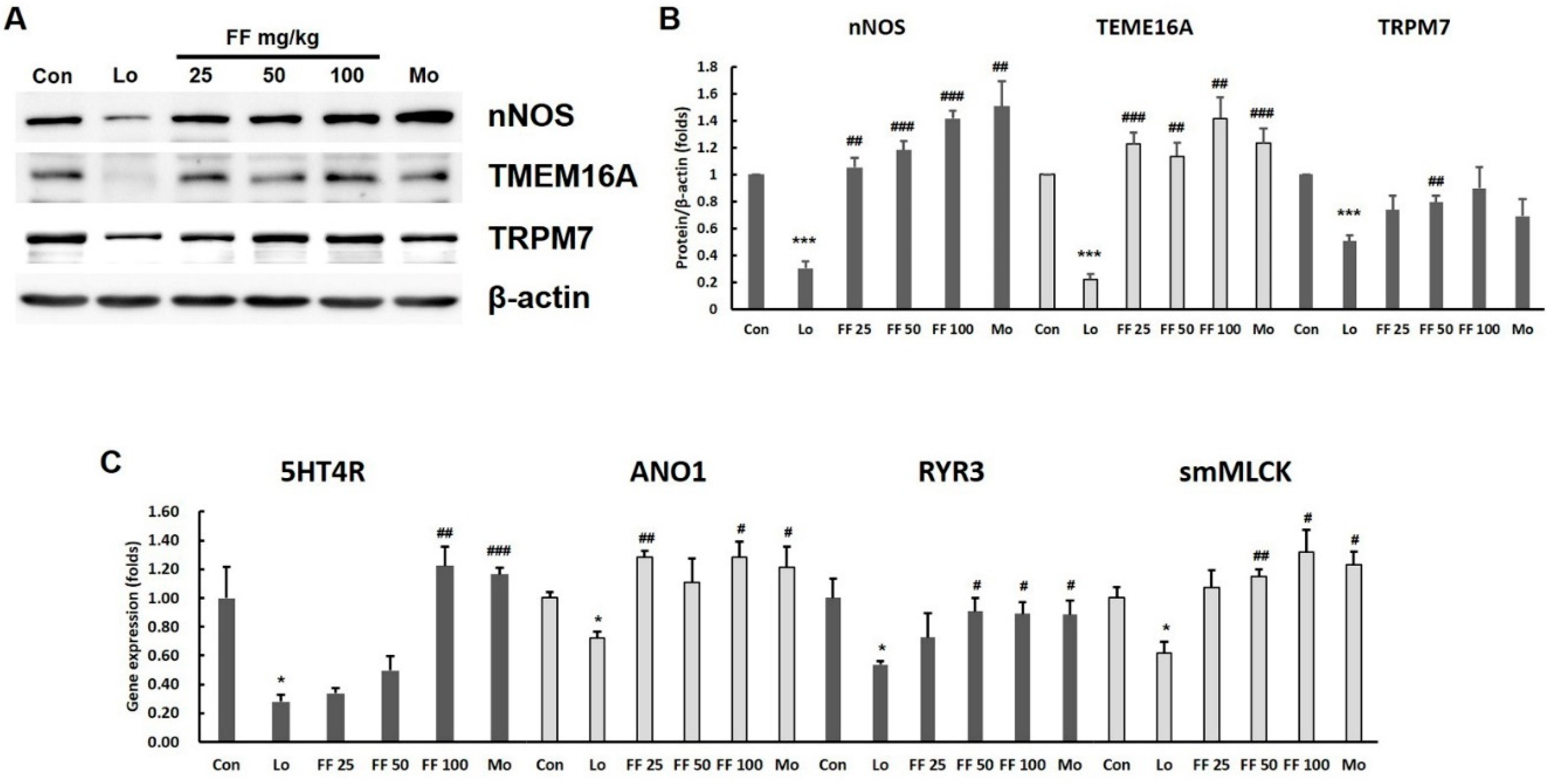 Preprints 73828 g008