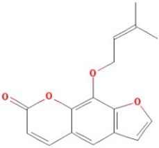 Preprints 73828 i001