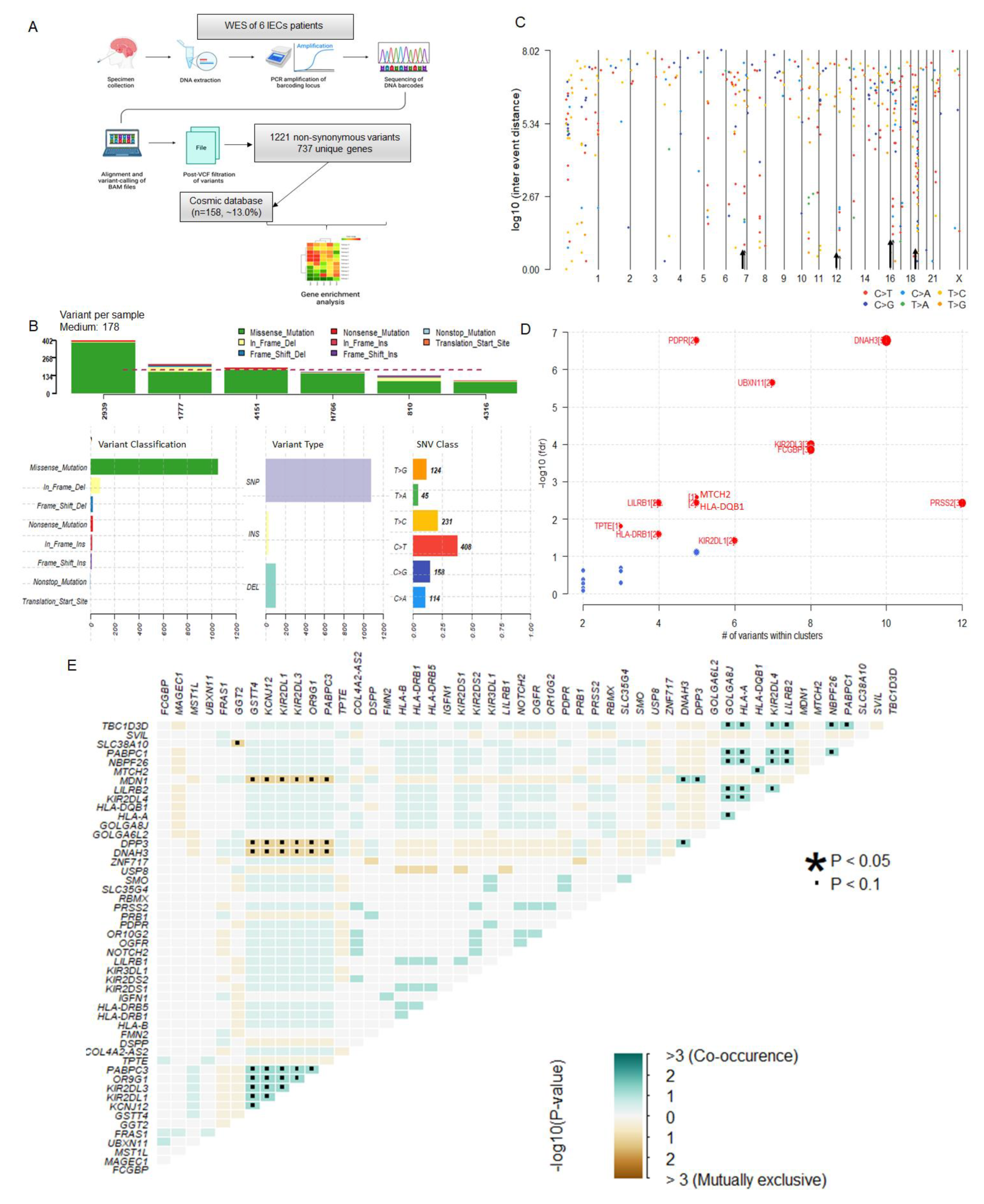 Preprints 117318 g001