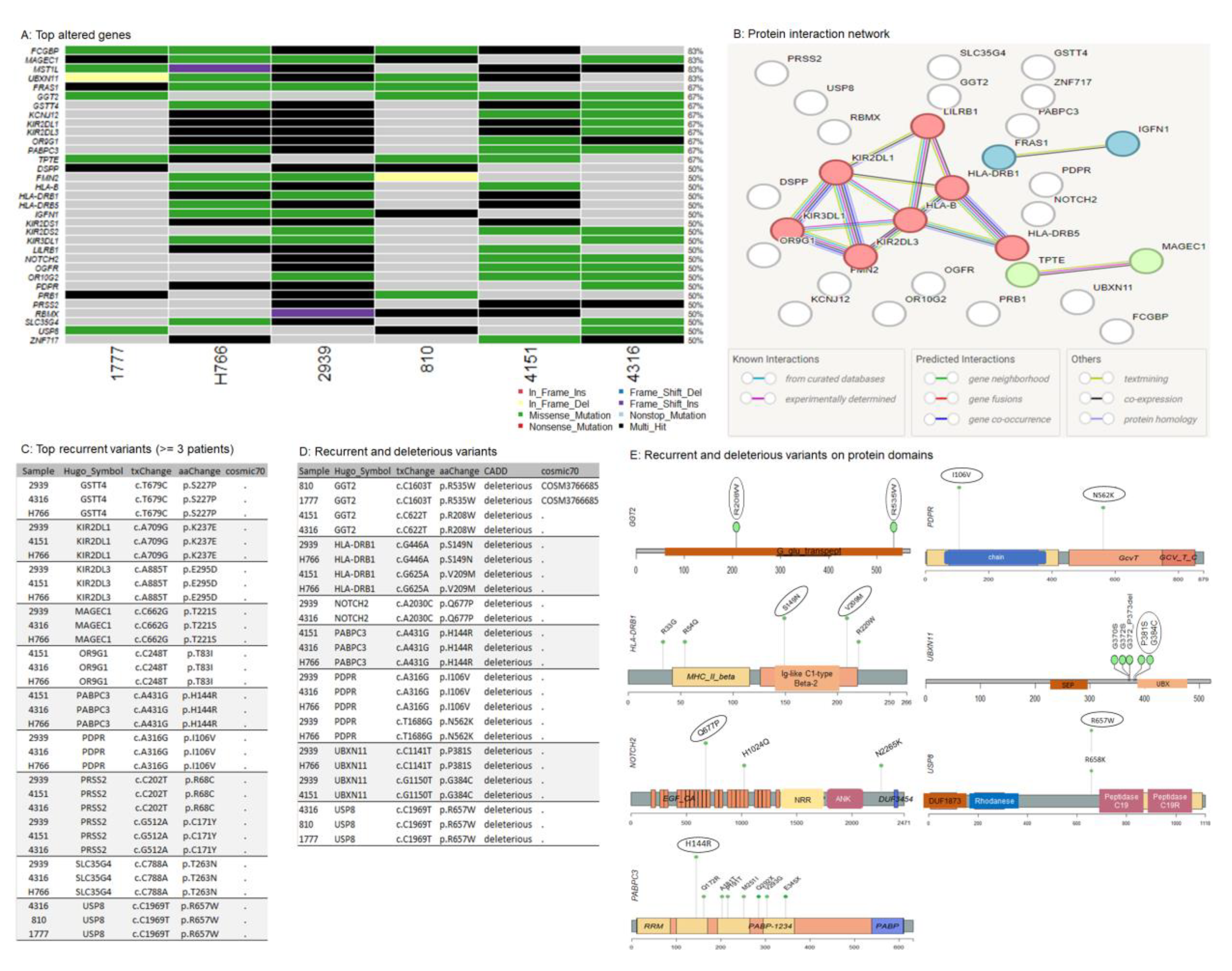 Preprints 117318 g003