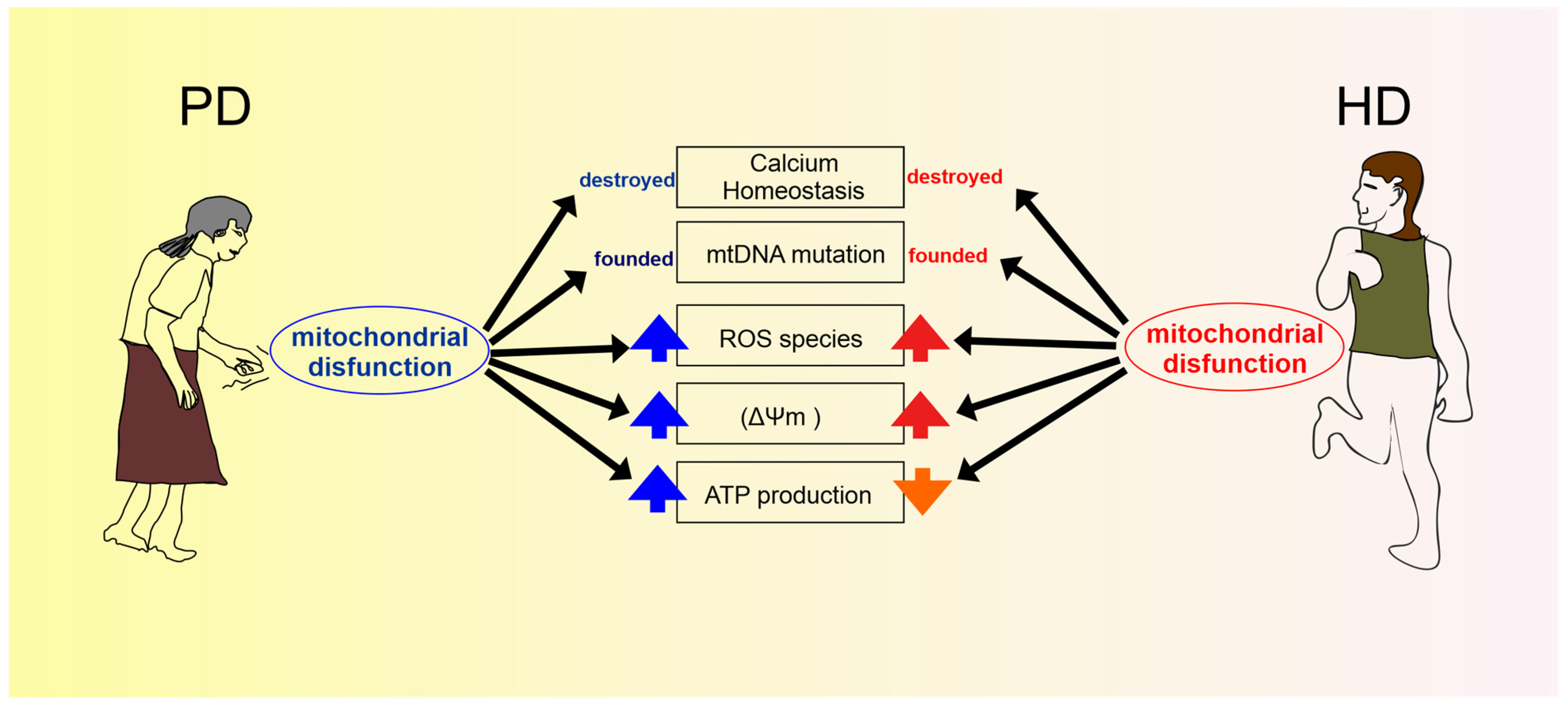 Preprints 68078 g001