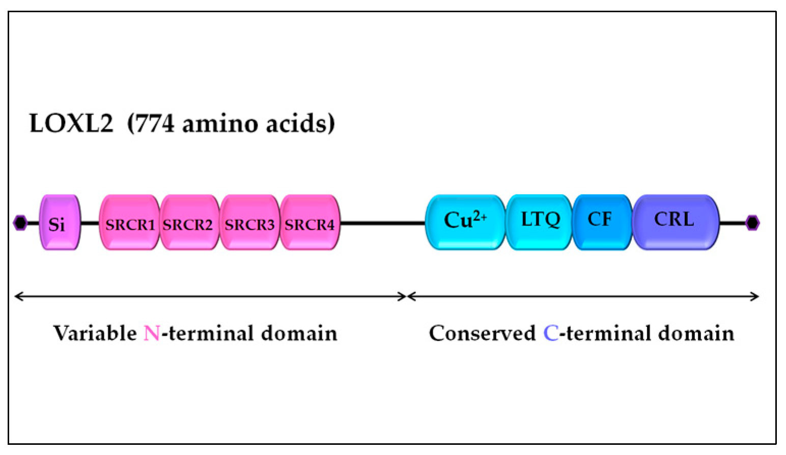 Preprints 76517 g001