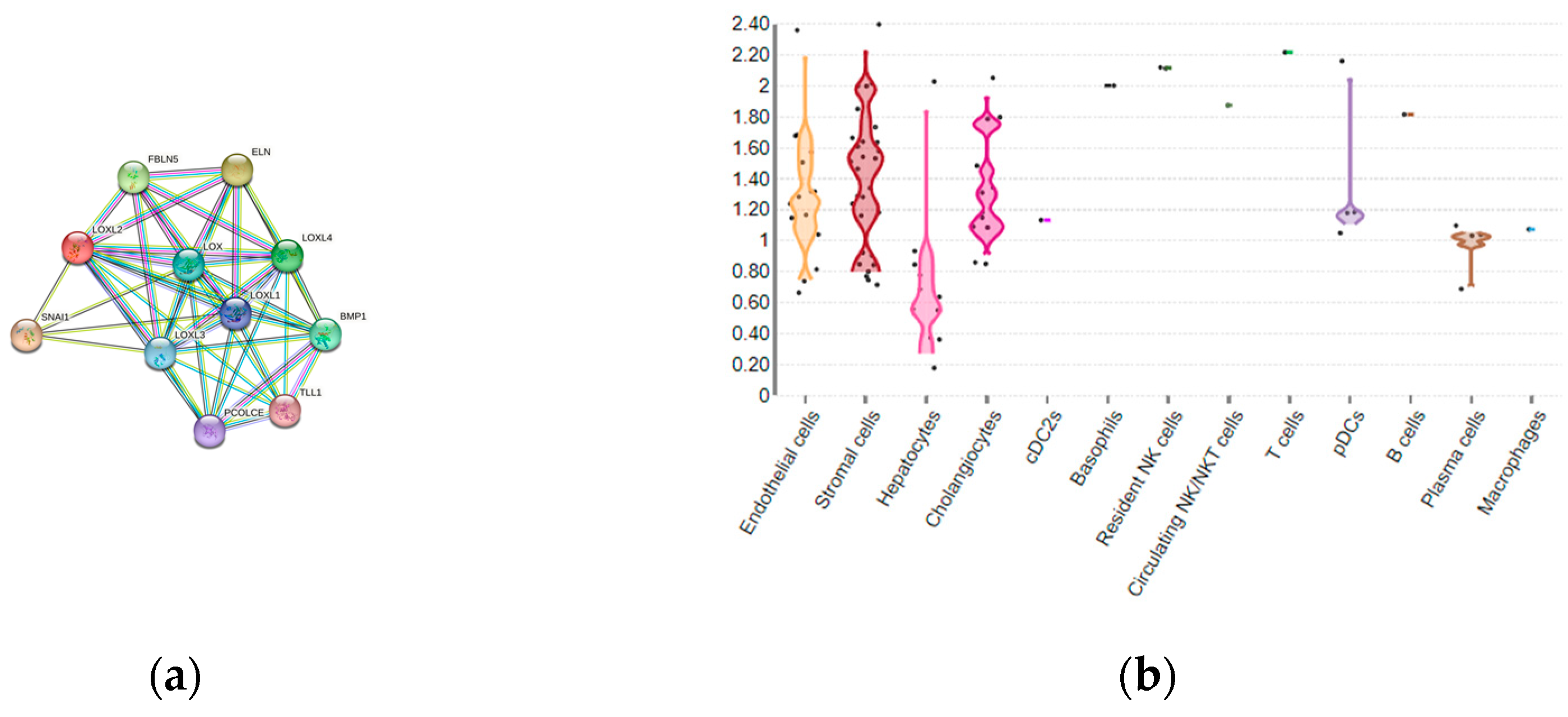 Preprints 76517 g002