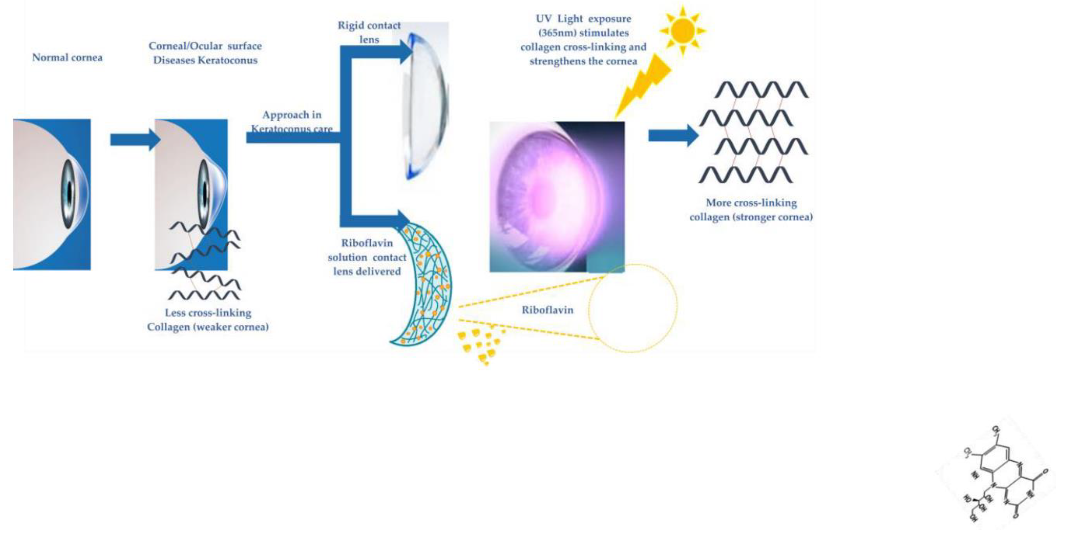 Preprints 86623 g002