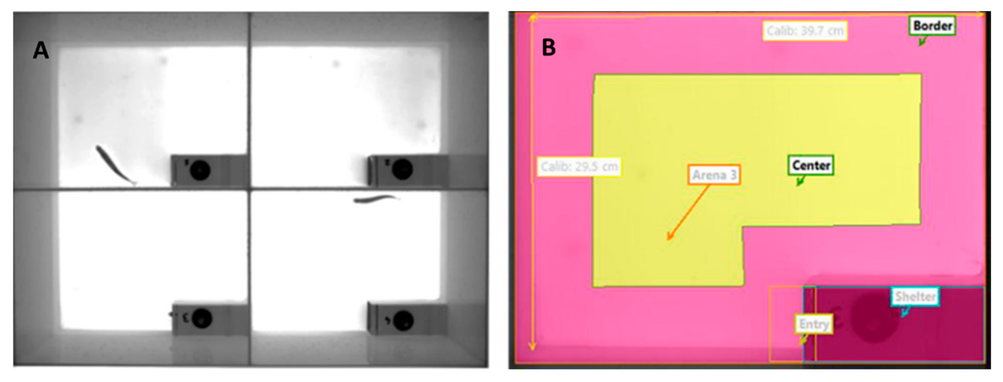 Preprints 78562 g002