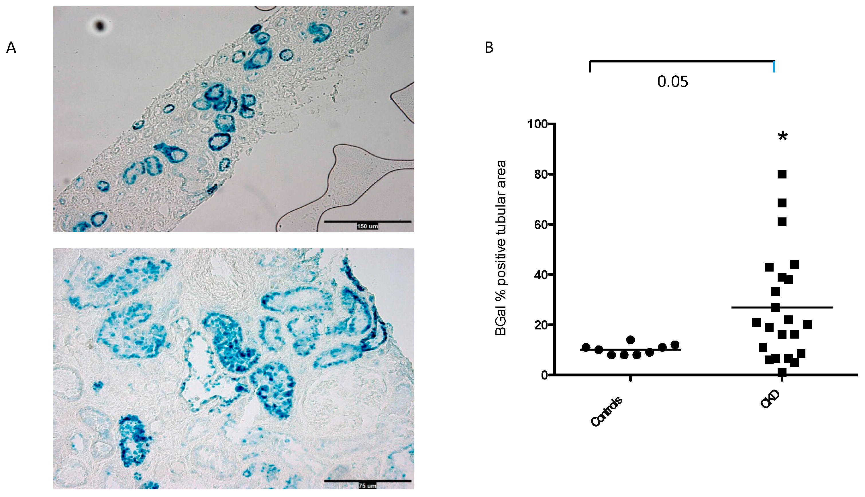 Preprints 91930 g002