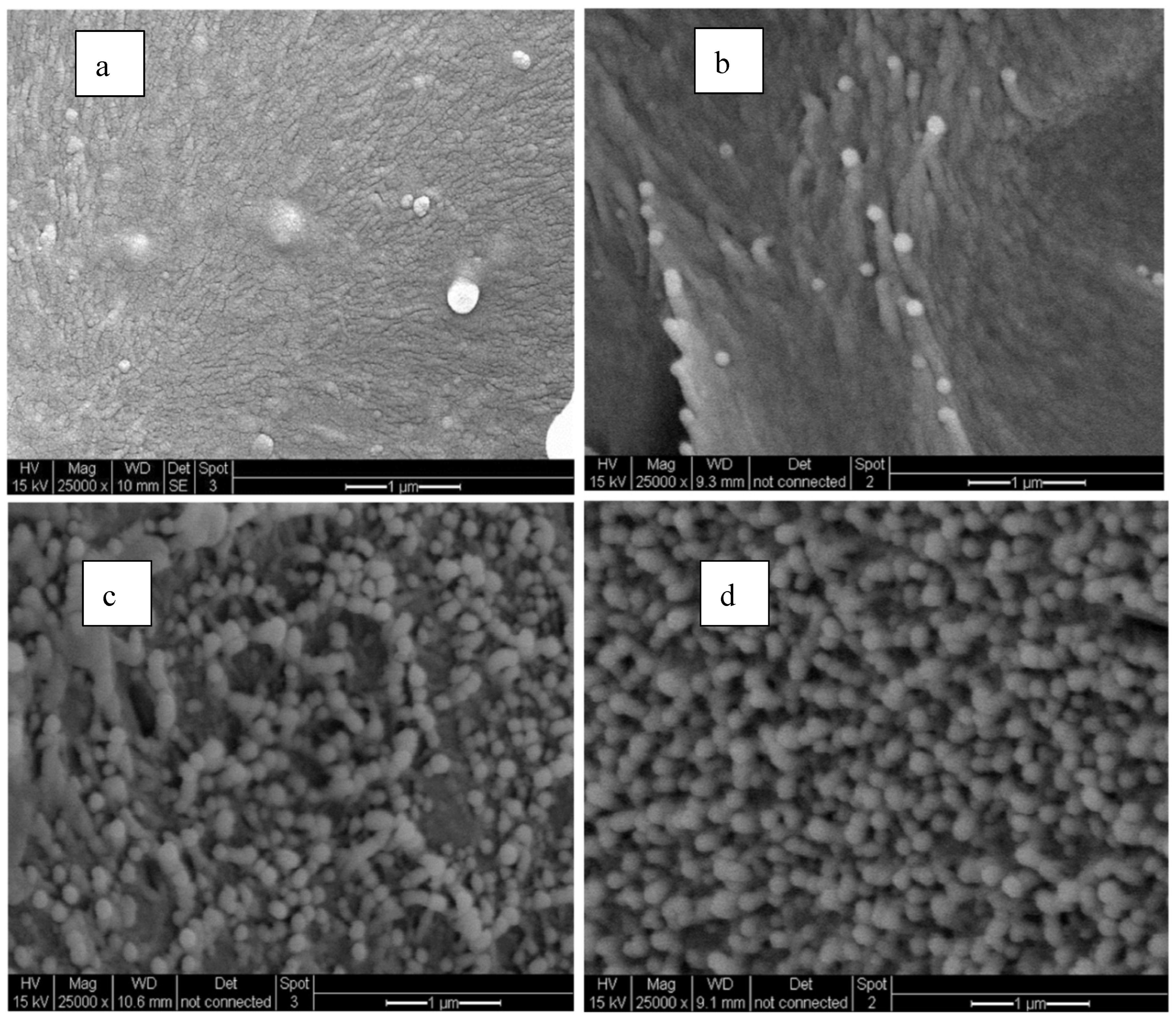 Preprints 85638 g014