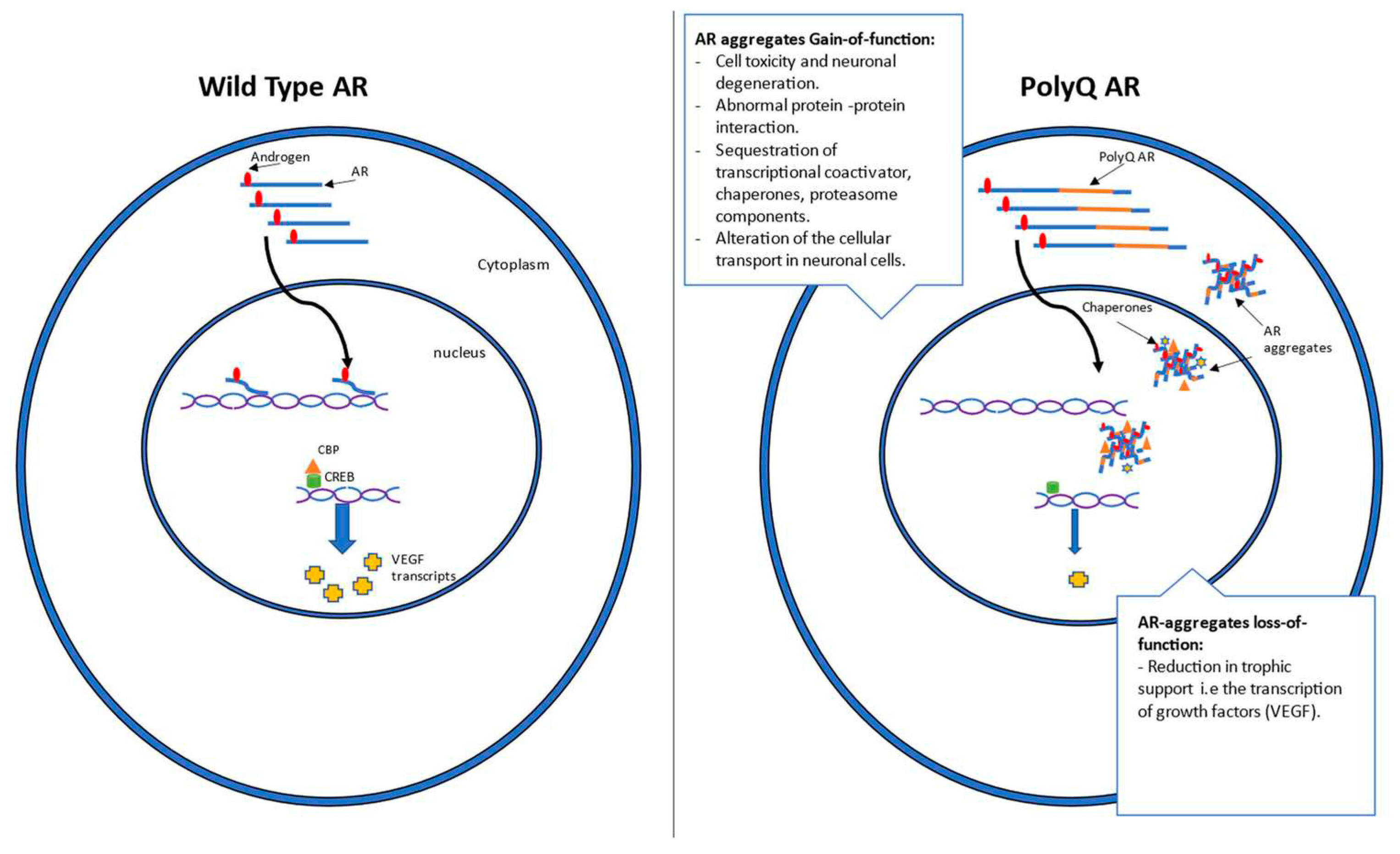 Preprints 80042 g001