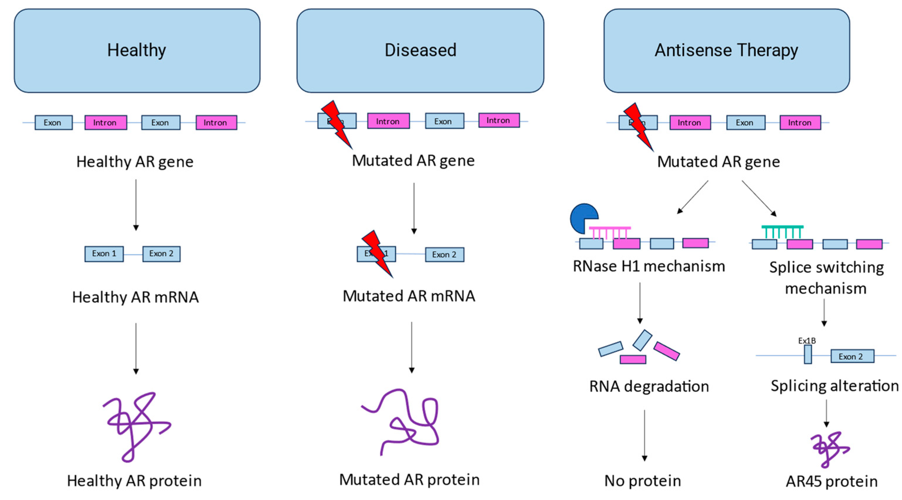 Preprints 80042 g002