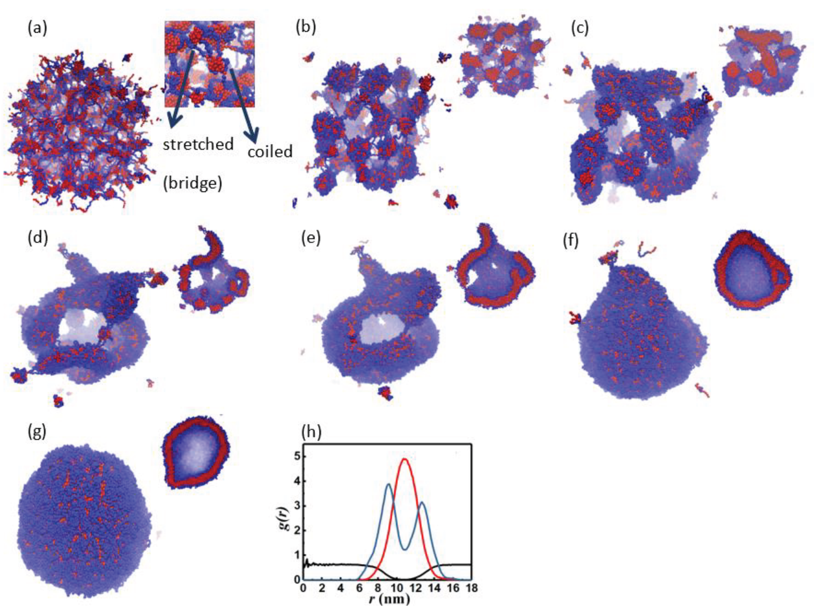 Preprints 102761 g001