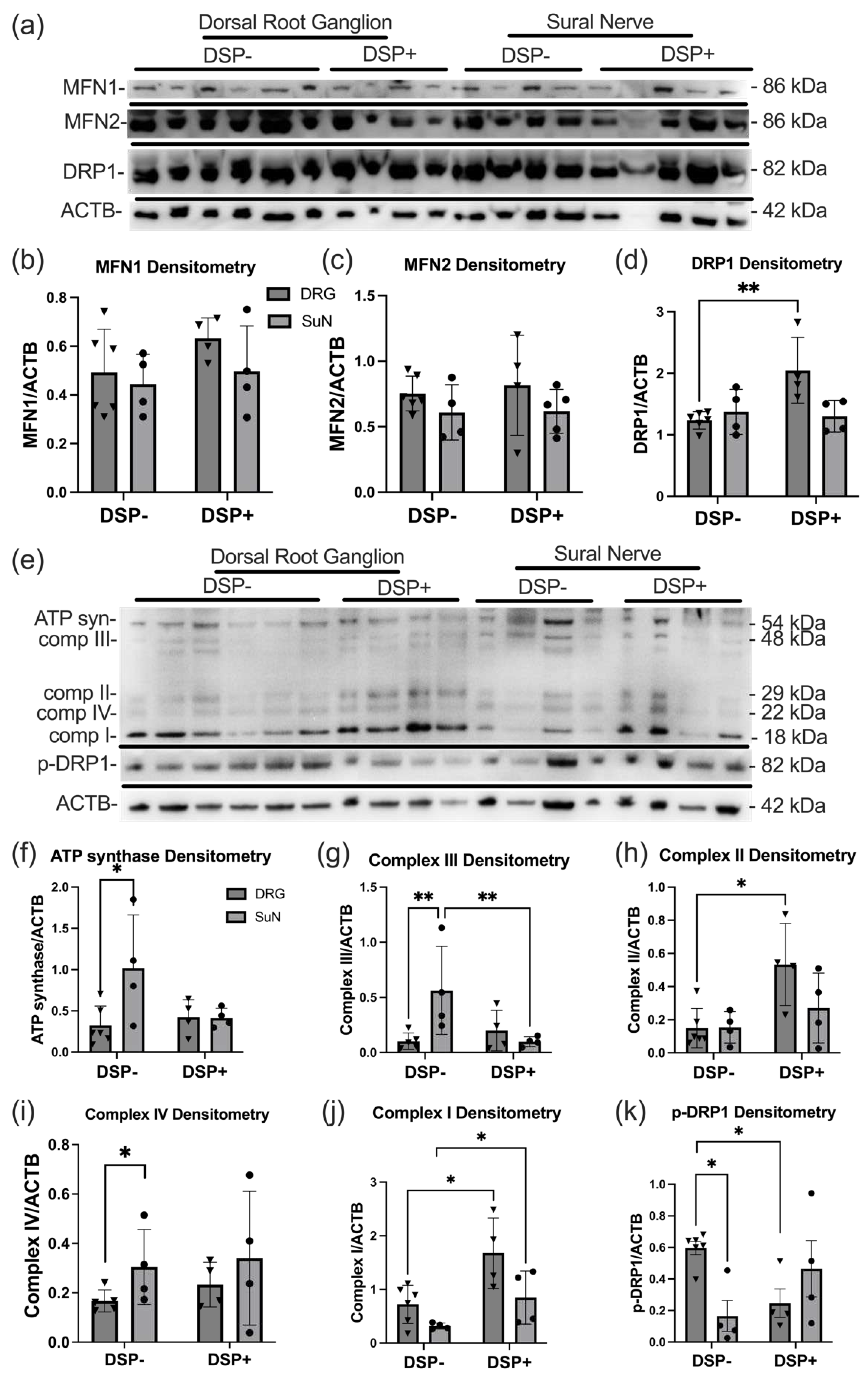 Preprints 97873 g004