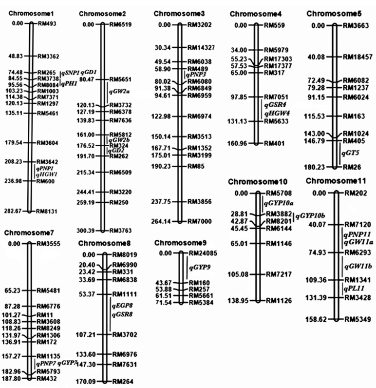 Preprints 117279 i003