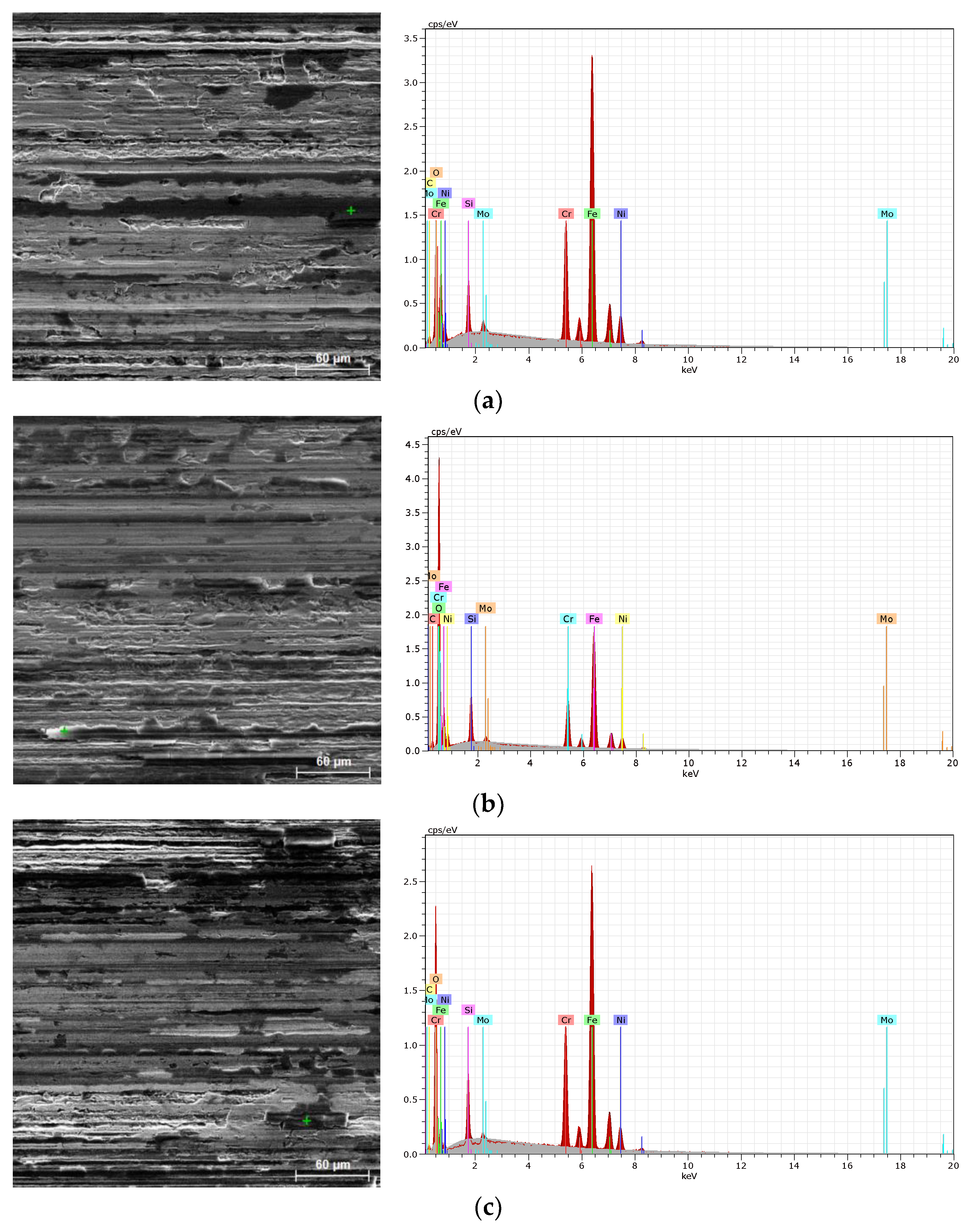 Preprints 80734 g014