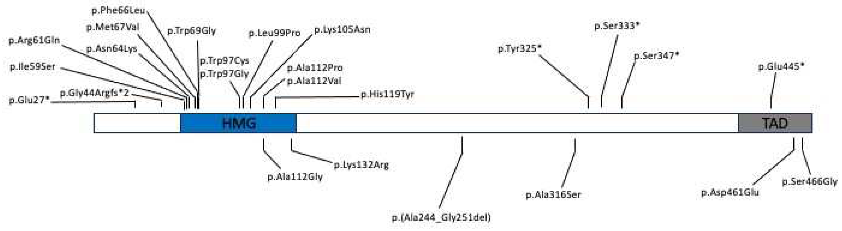 Preprints 95391 g001