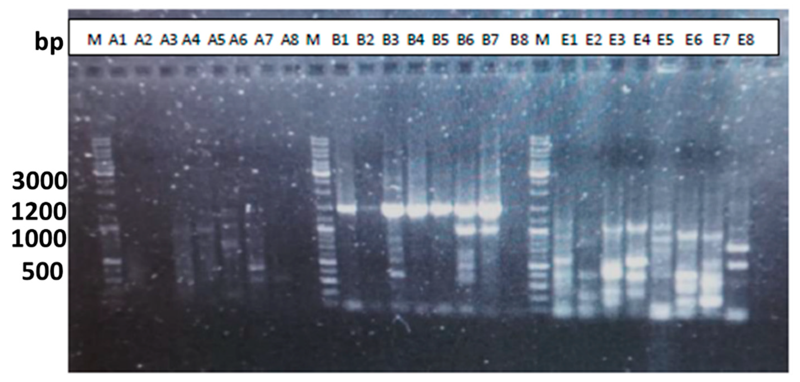 Preprints 103165 g001