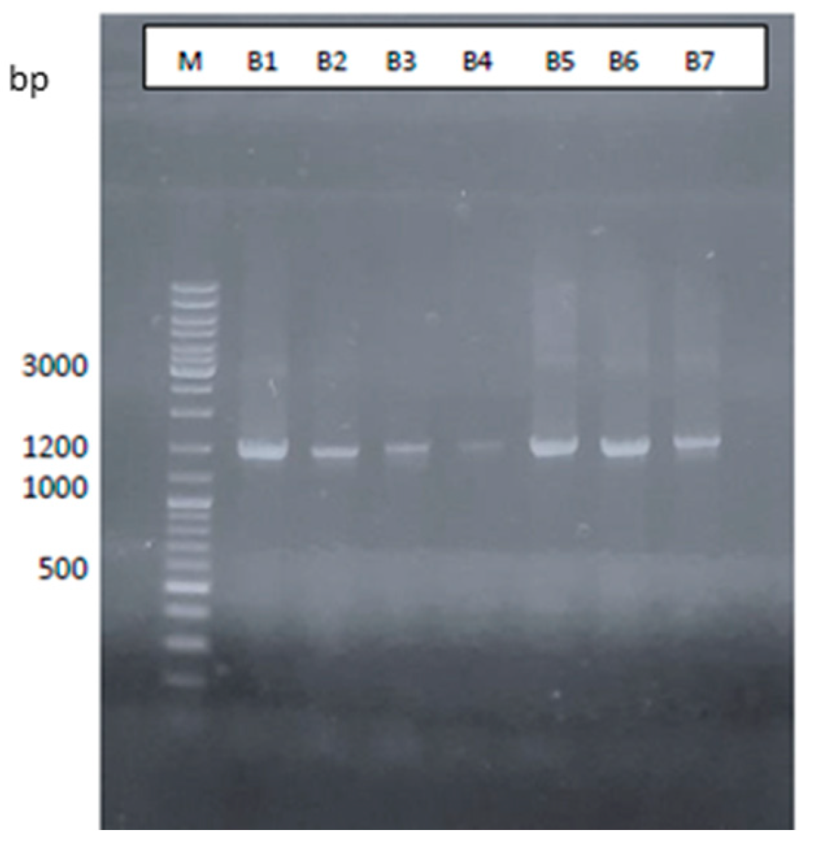 Preprints 103165 g002