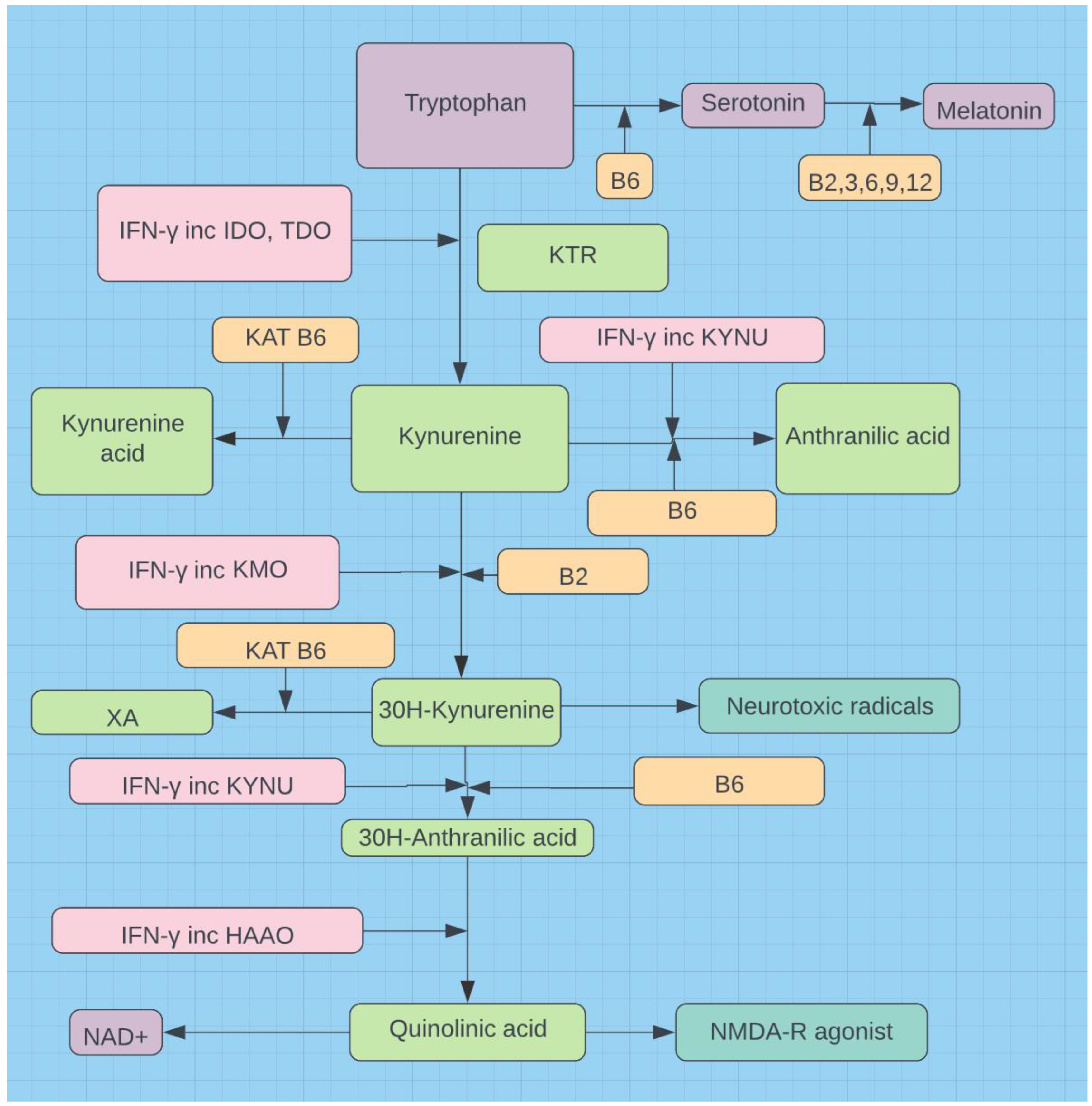 Preprints 90678 g001