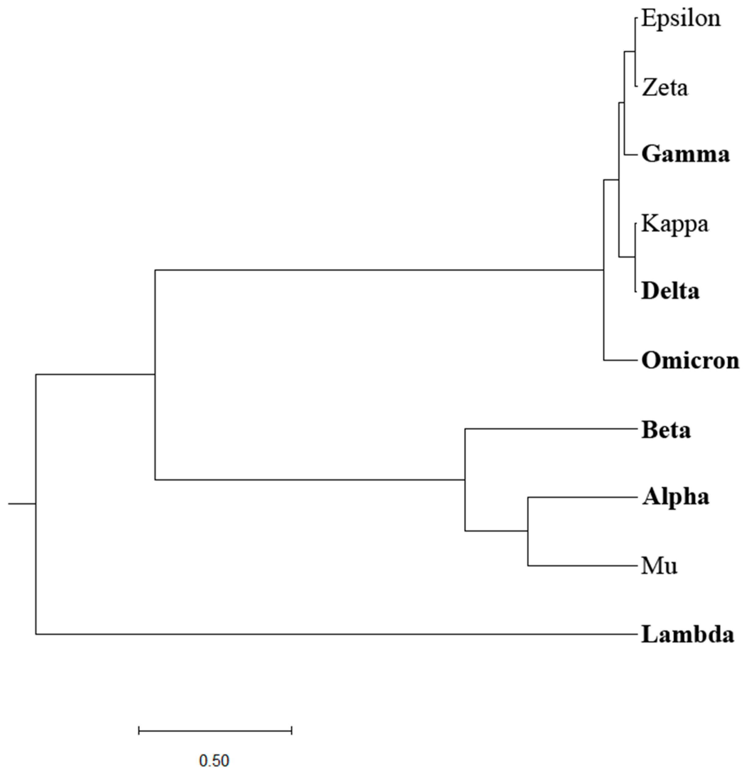 Preprints 81155 g002