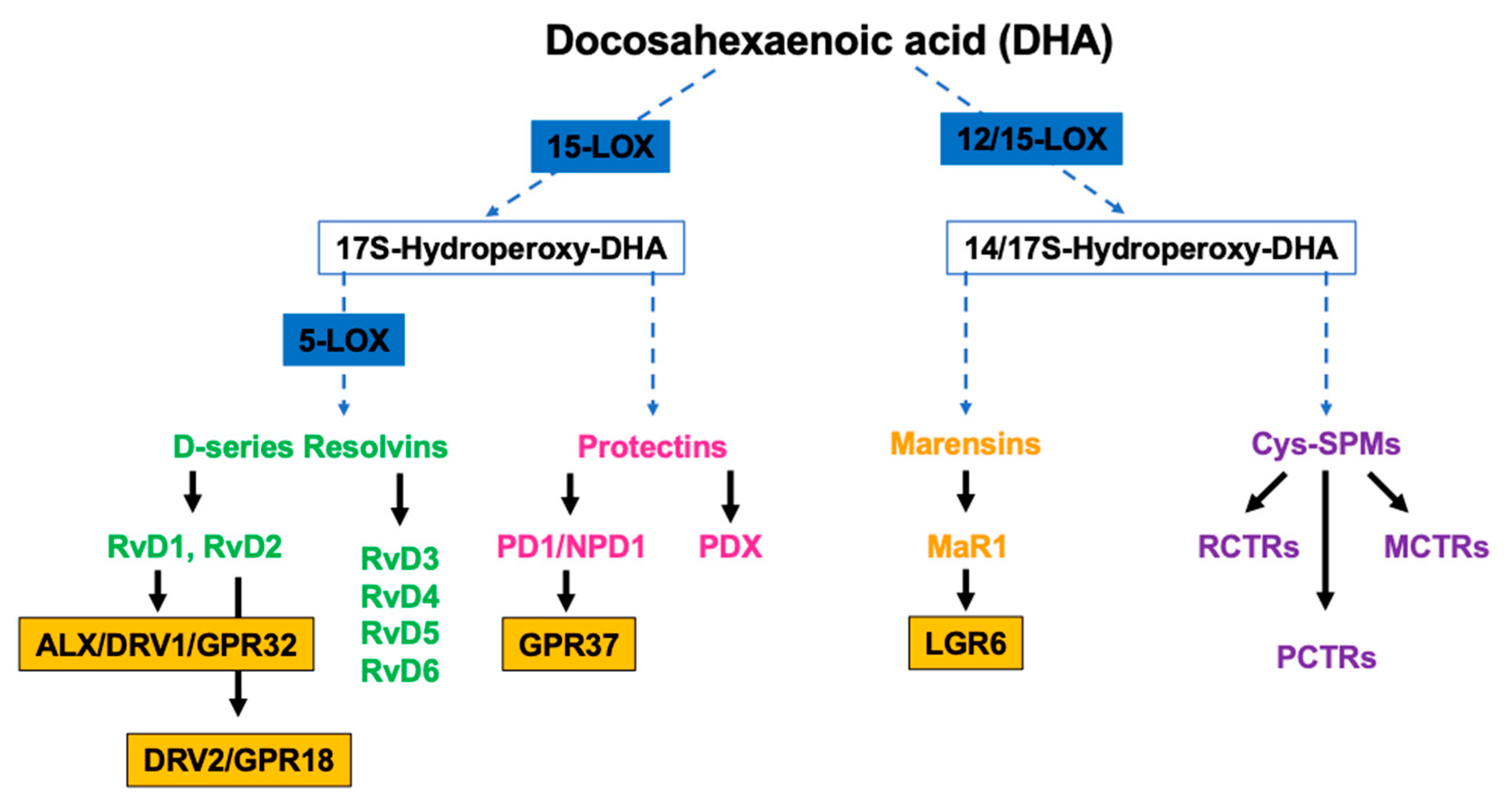 Preprints 92037 g001