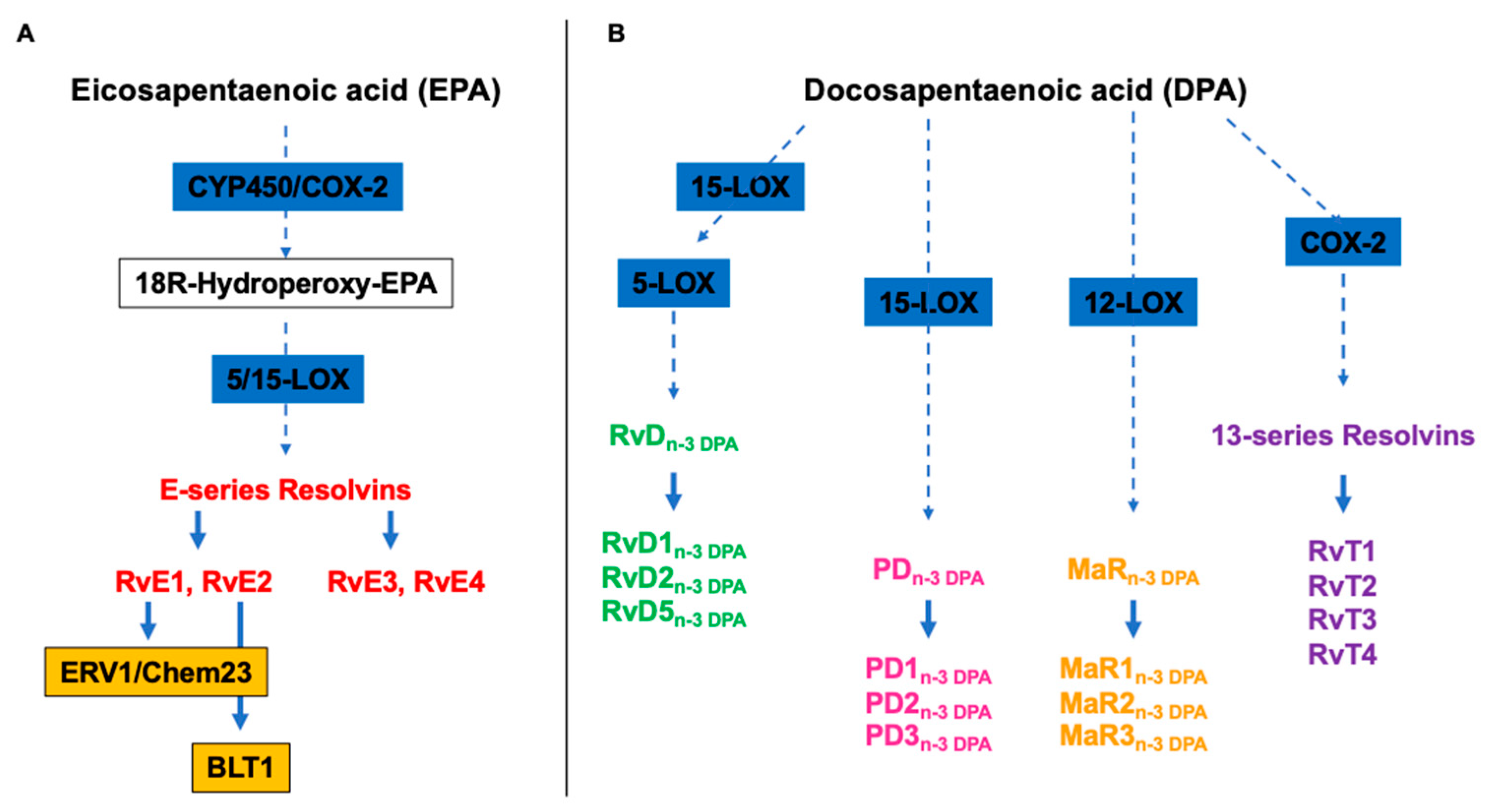 Preprints 92037 g002