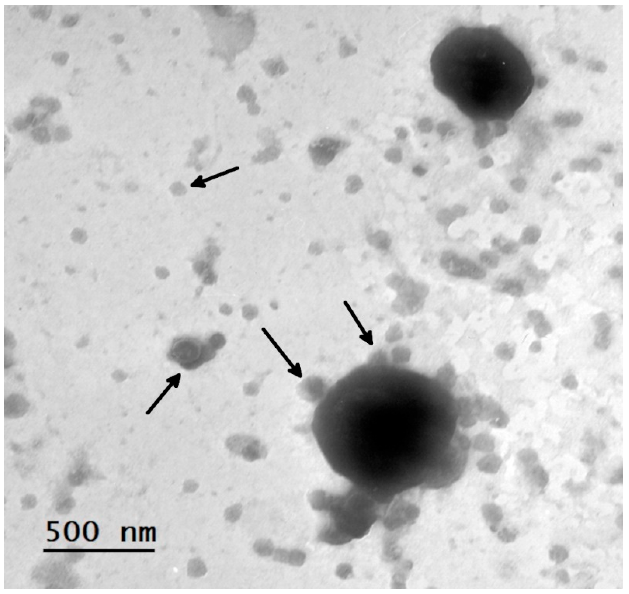 Preprints 102985 g001