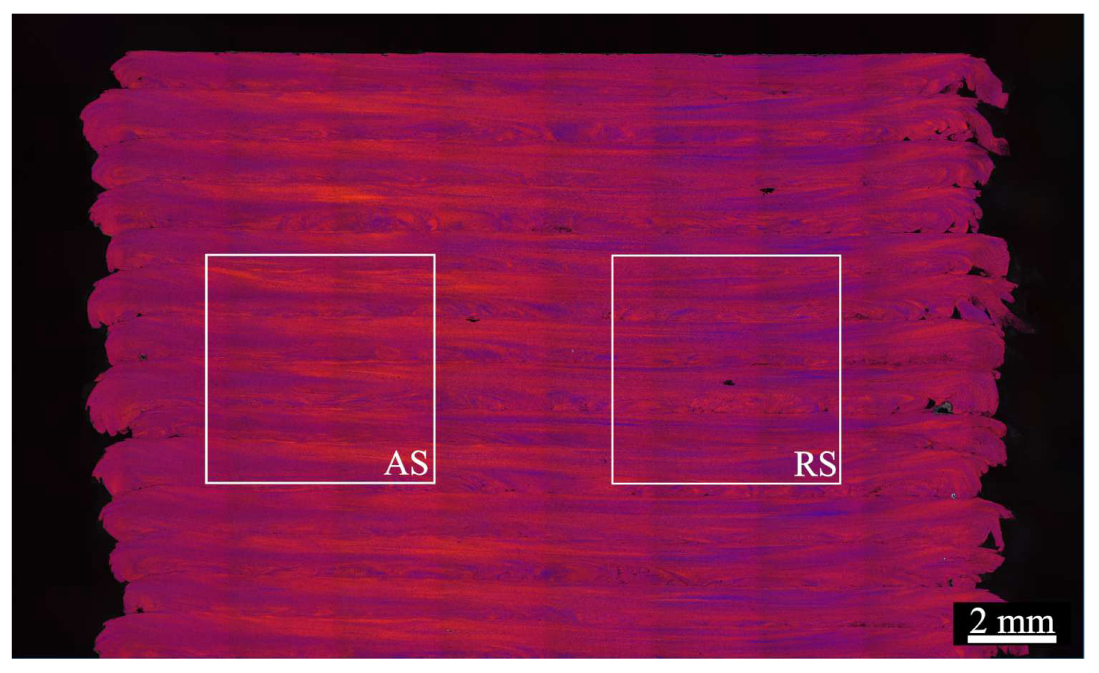 Preprints 98421 g012