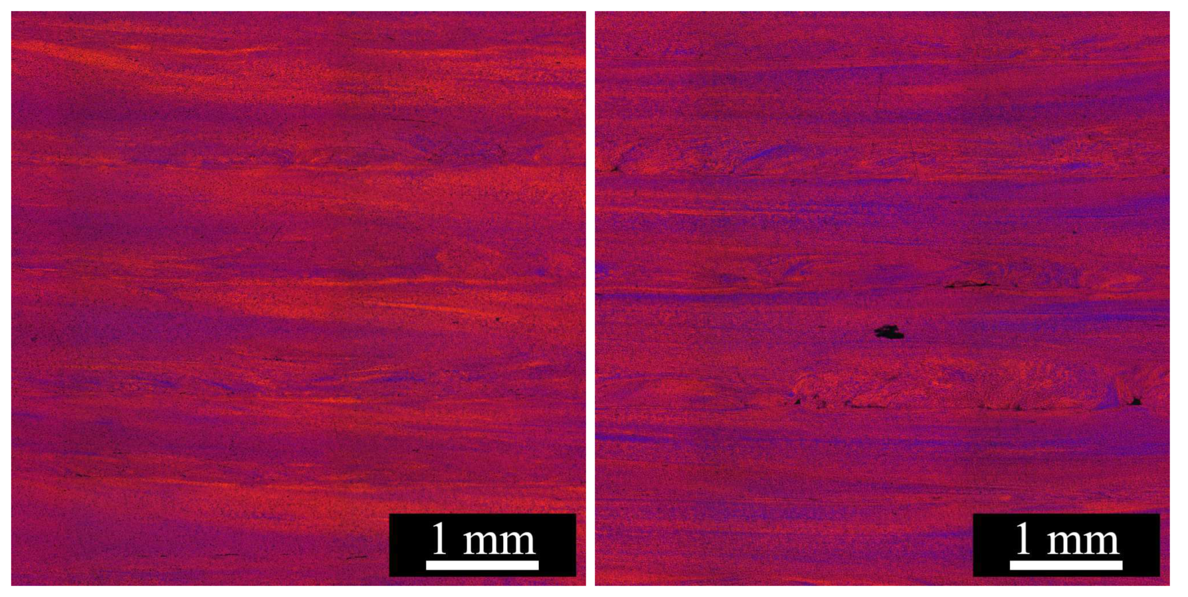 Preprints 98421 g013