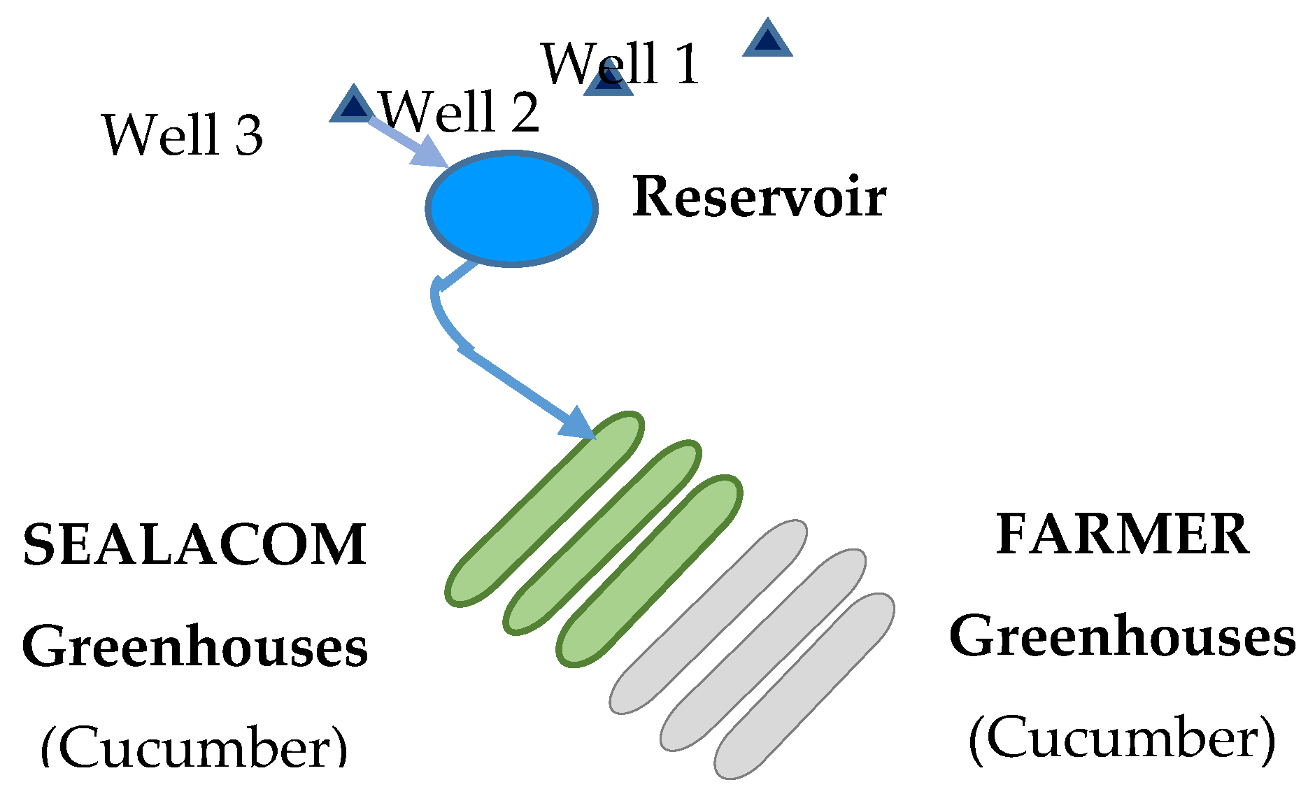 Preprints 137586 g005