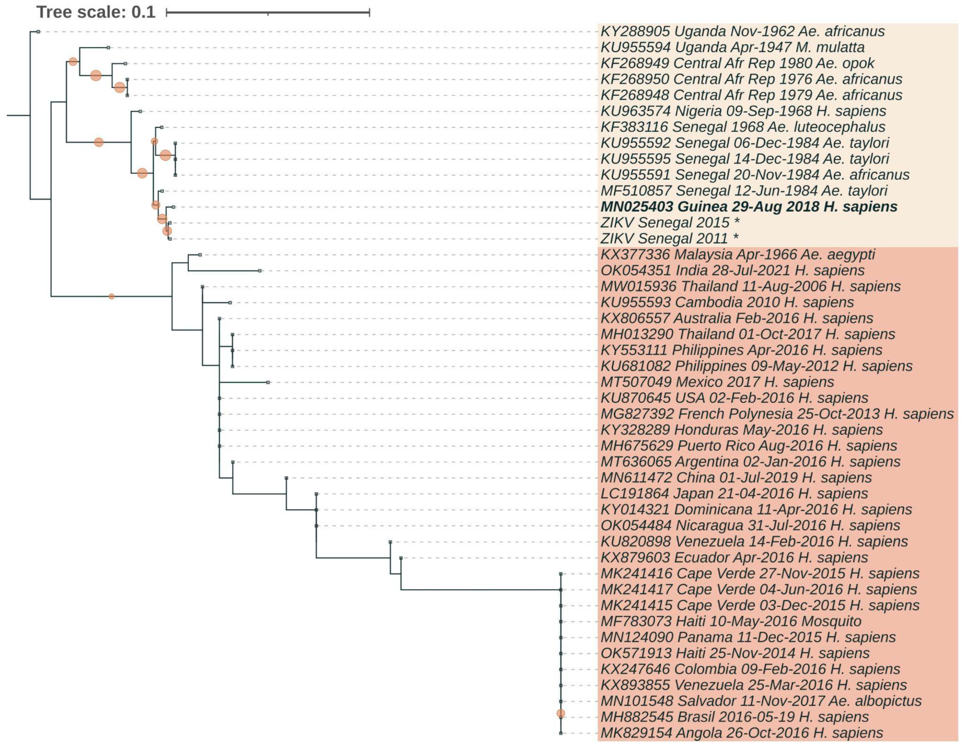 Preprints 79976 g002