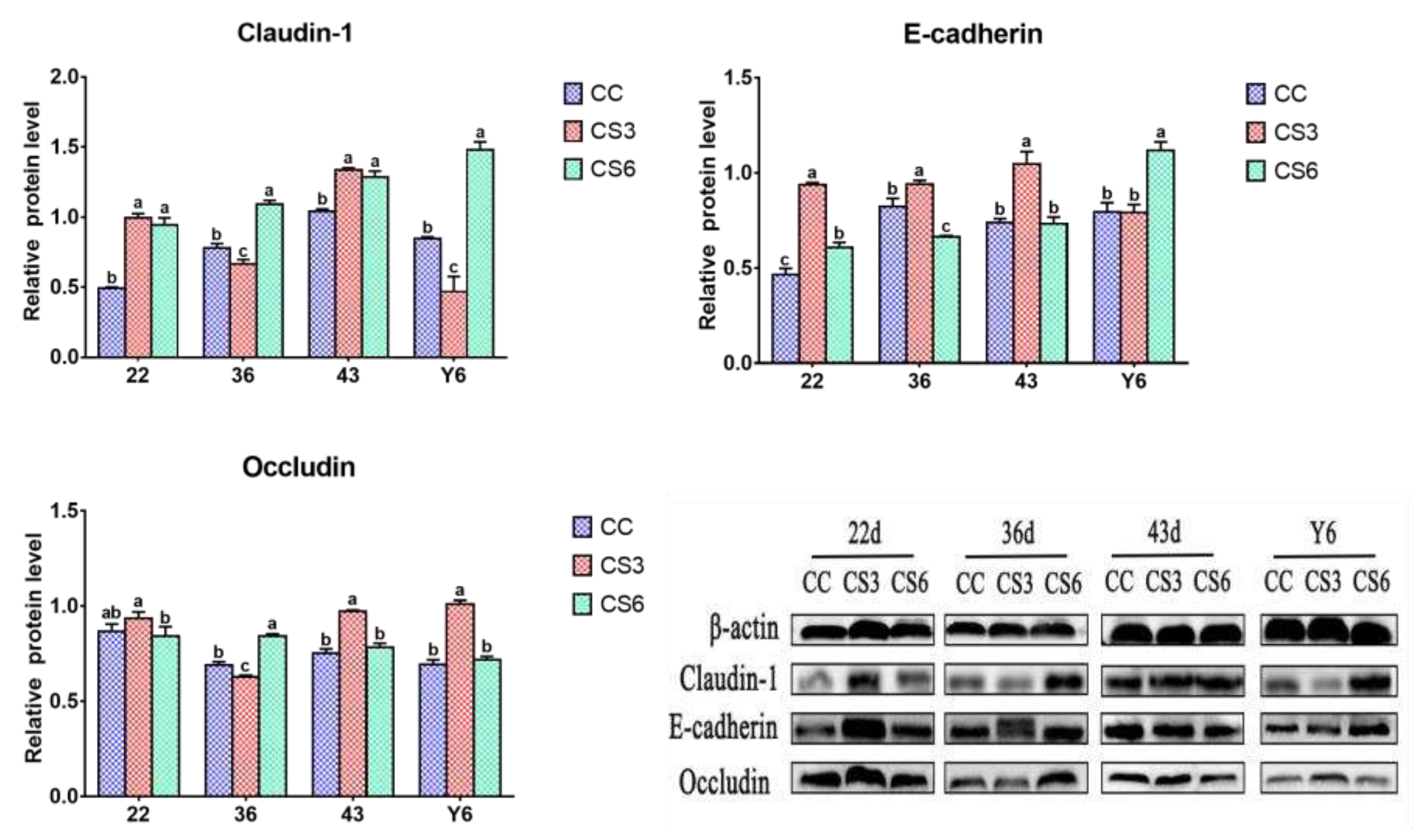 Preprints 76052 g003