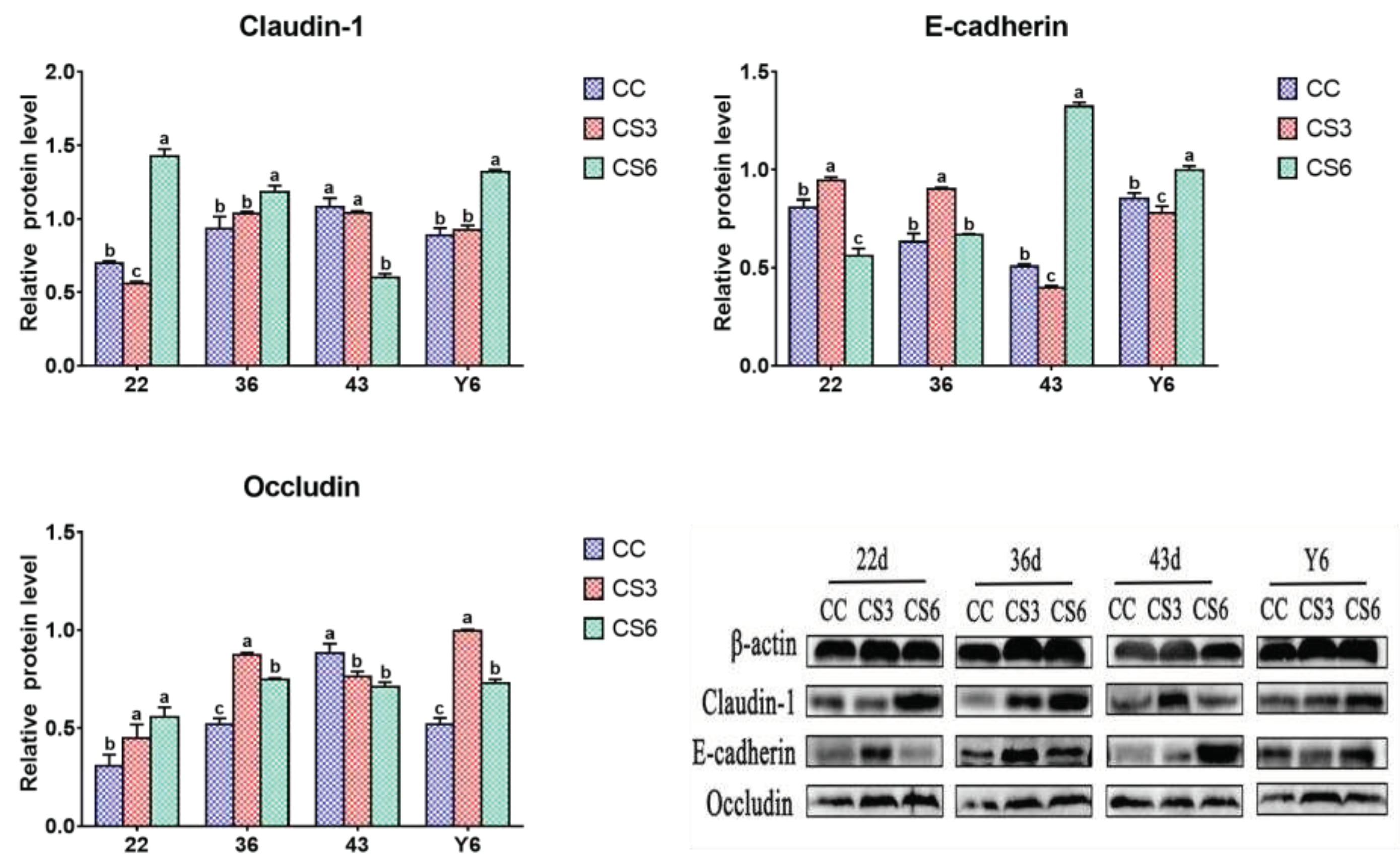 Preprints 76052 g005