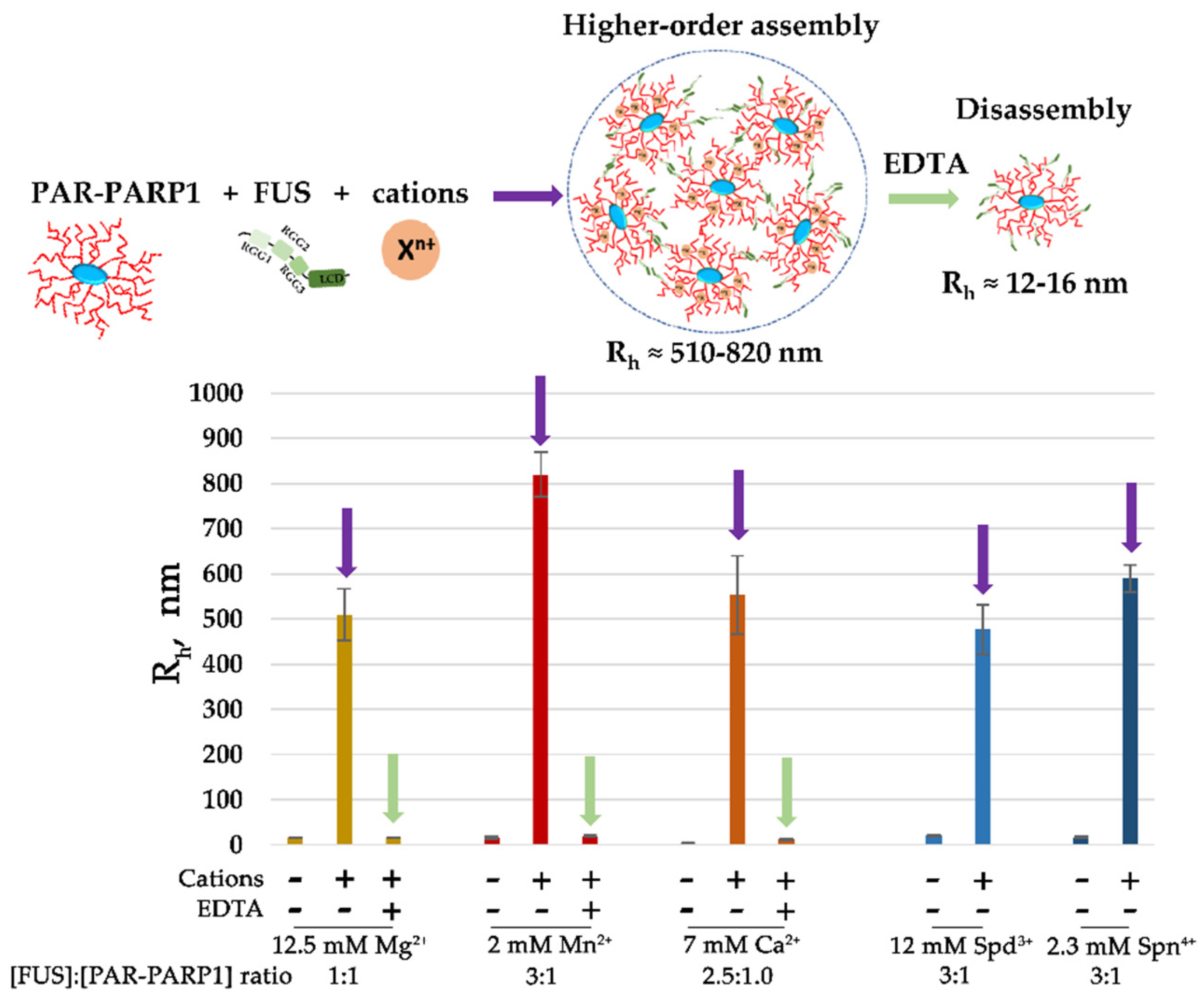 Preprints 119784 g003