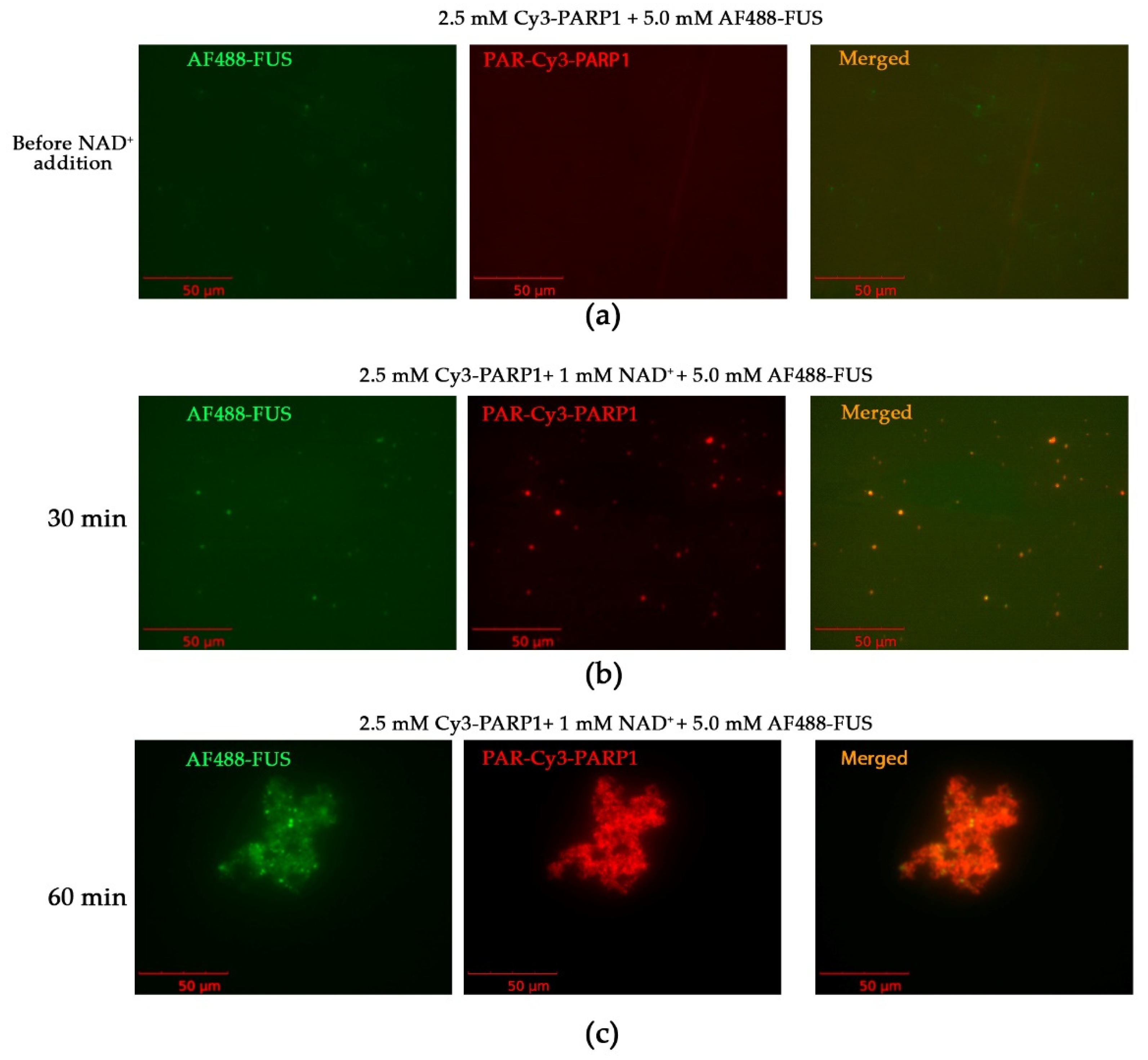 Preprints 119784 g004