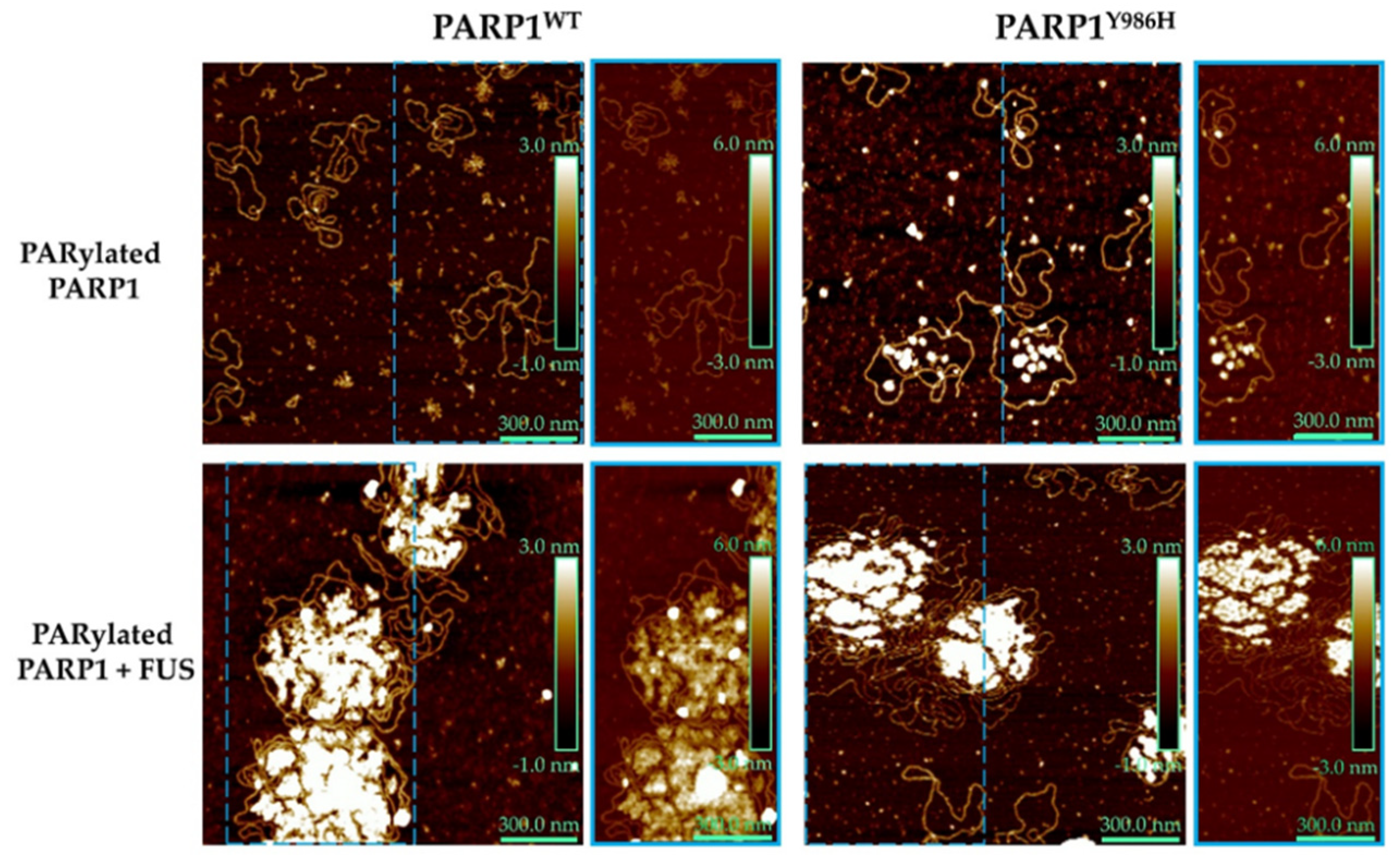 Preprints 119784 g007