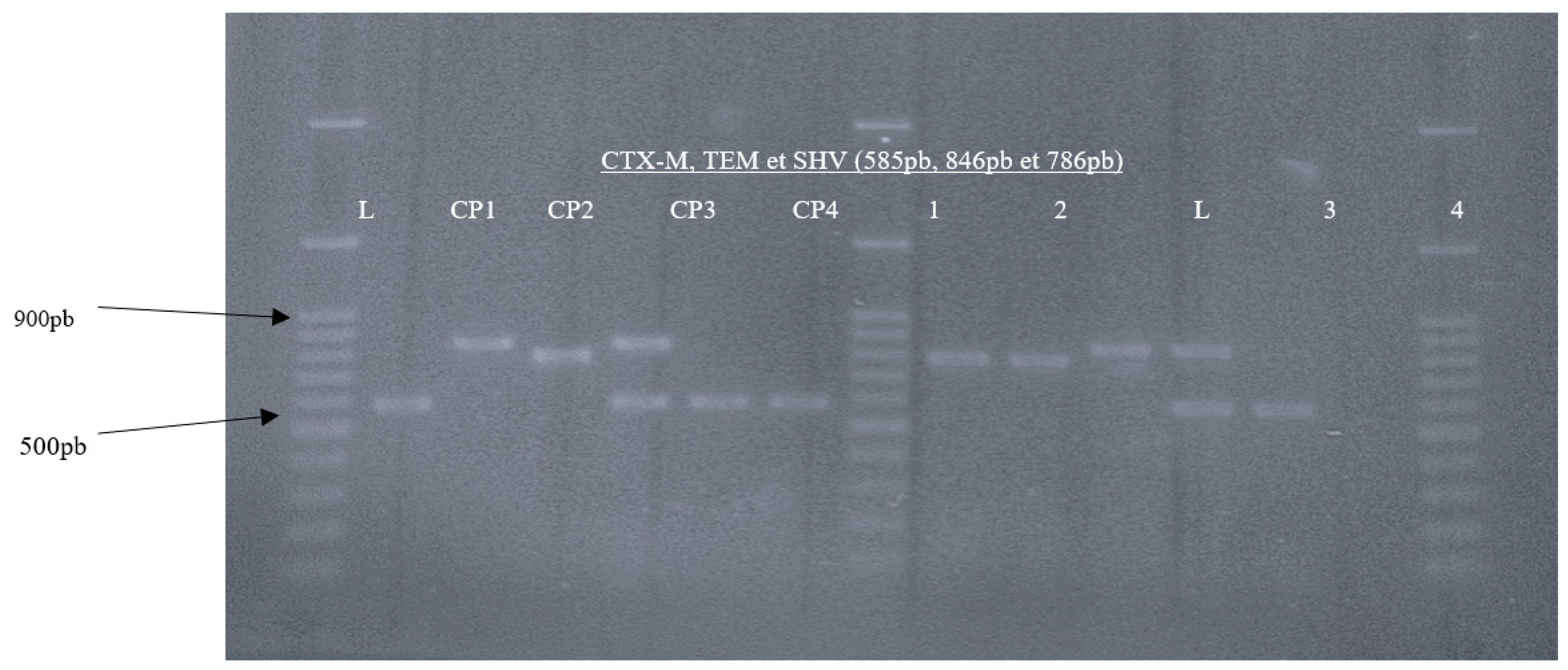 Preprints 71841 g002