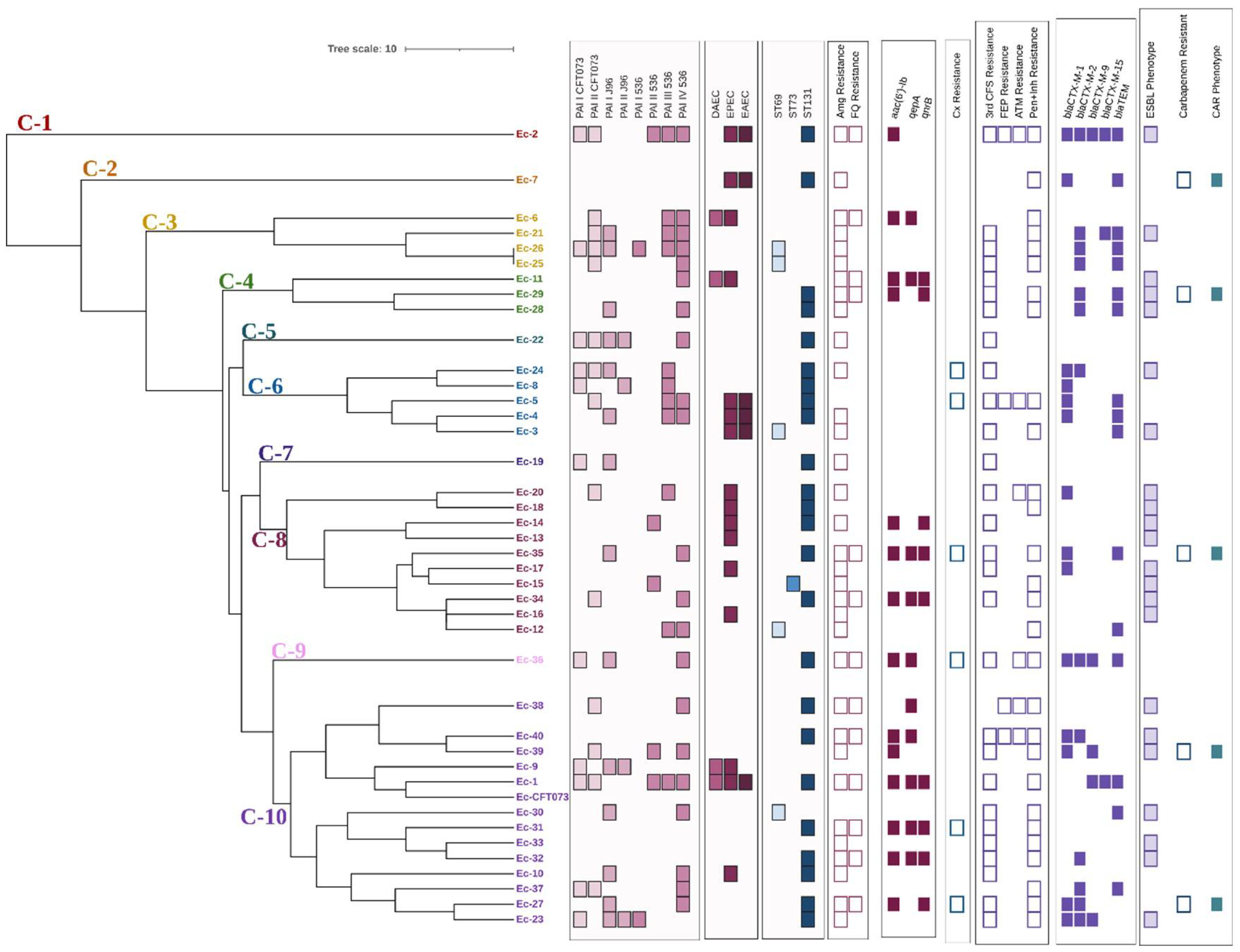 Preprints 105810 g003