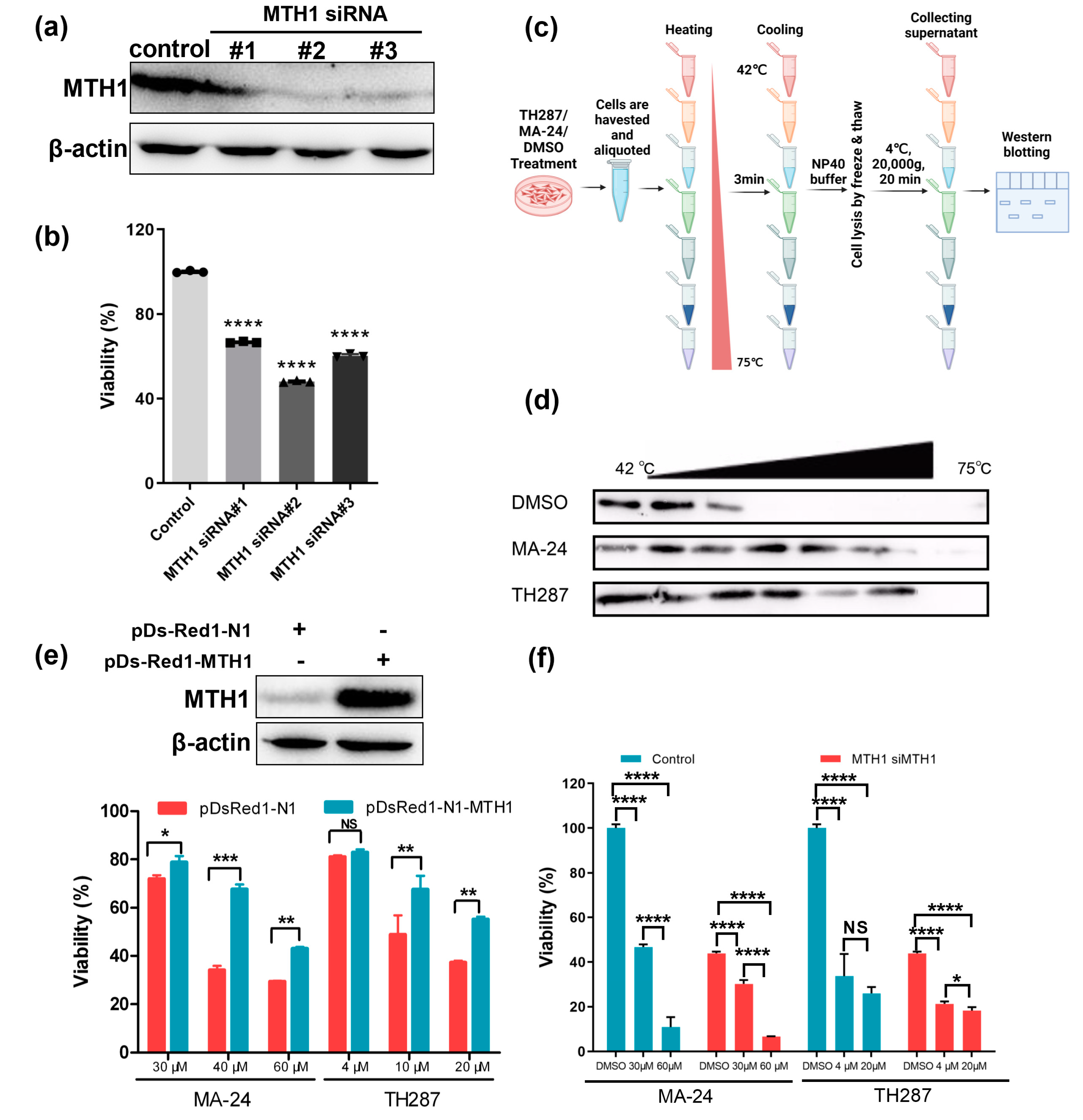 Preprints 94036 g003