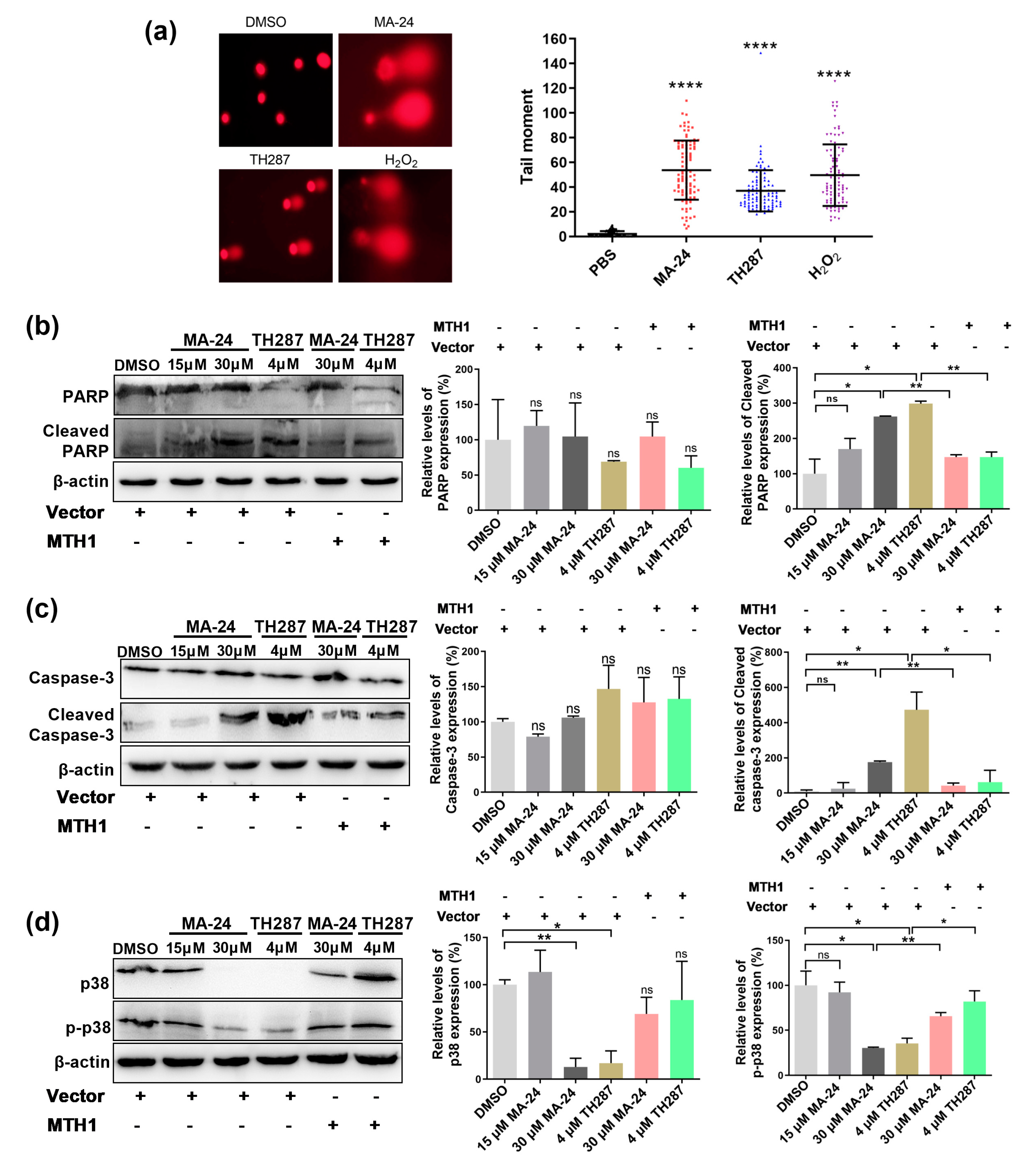 Preprints 94036 g004