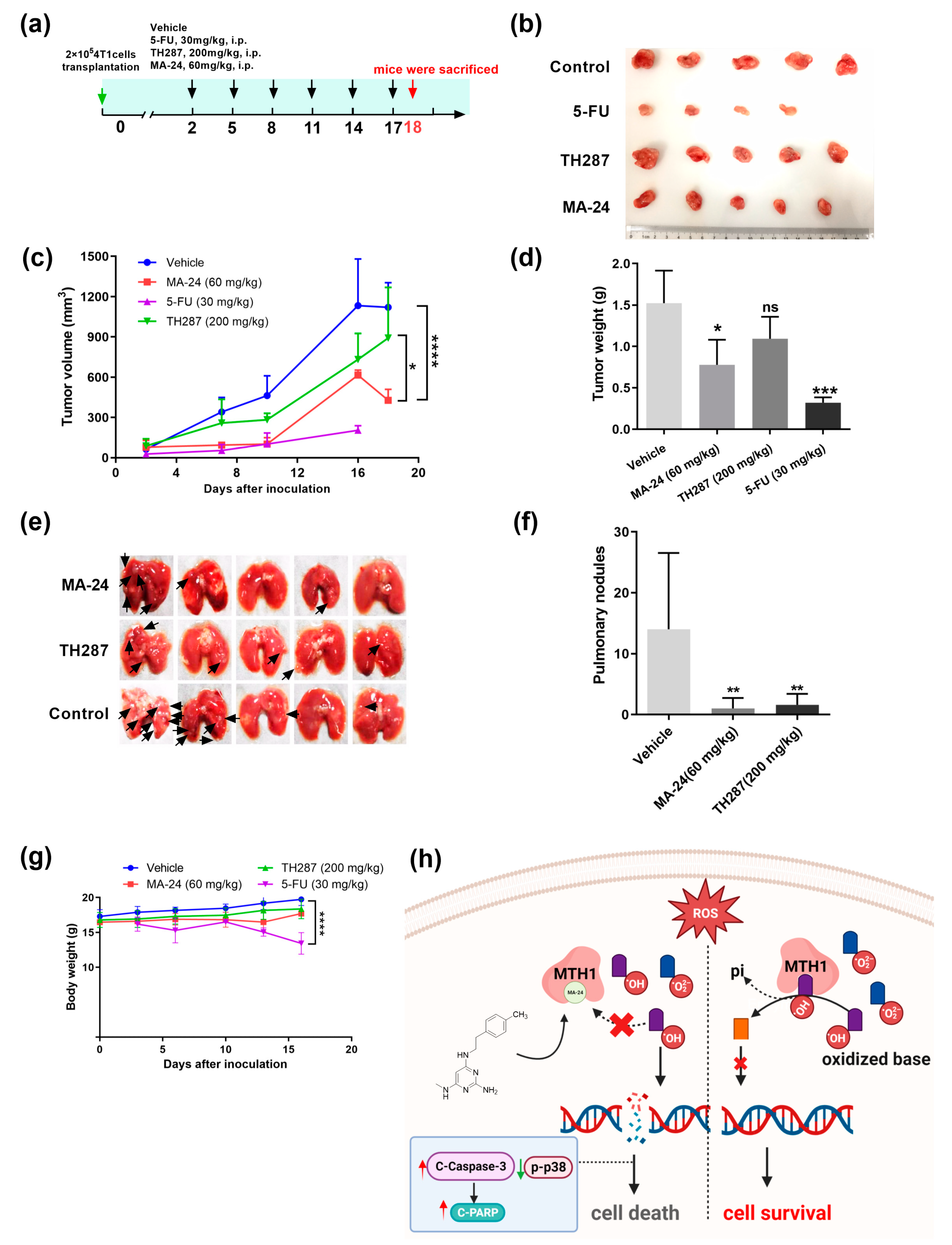 Preprints 94036 g005