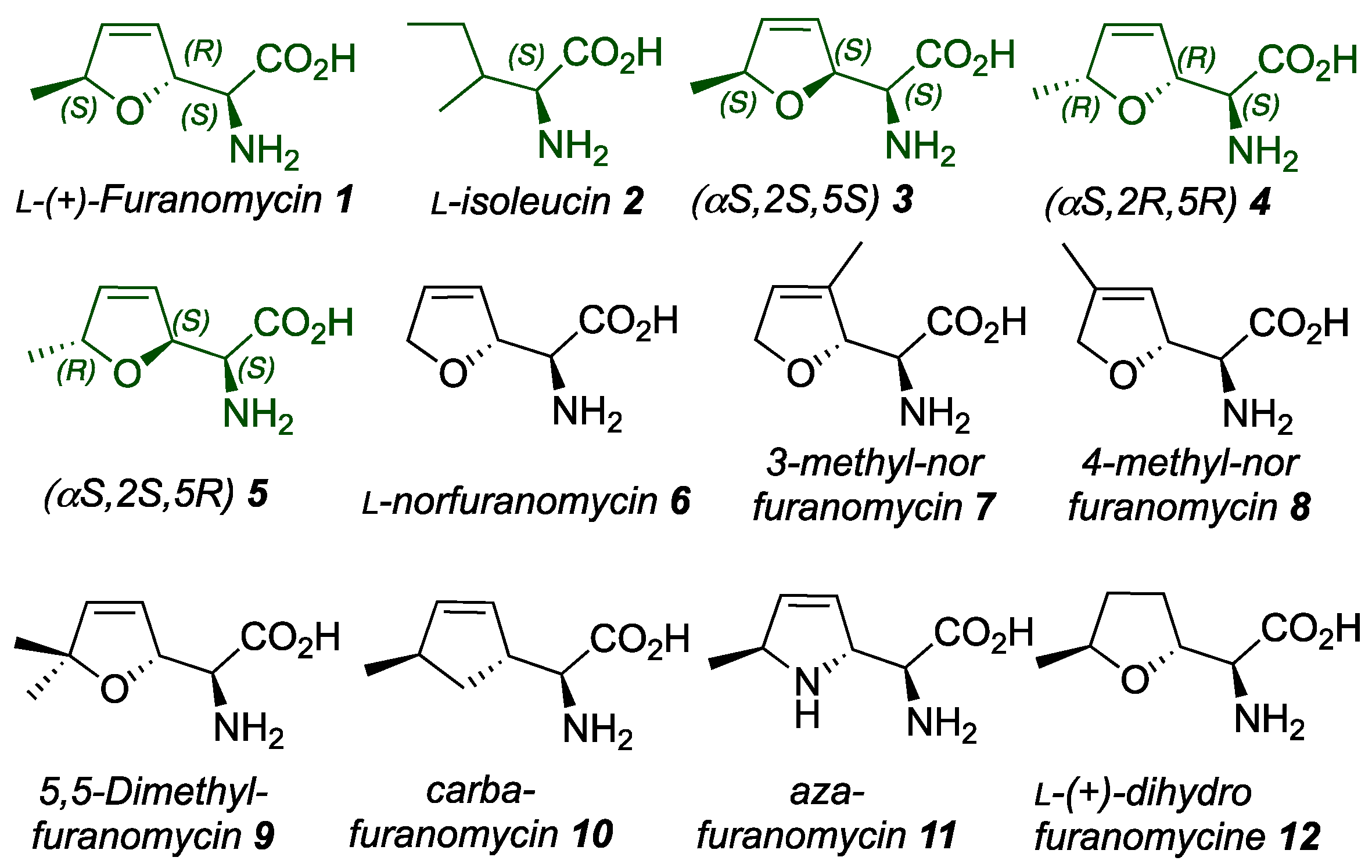 Preprints 121069 g001