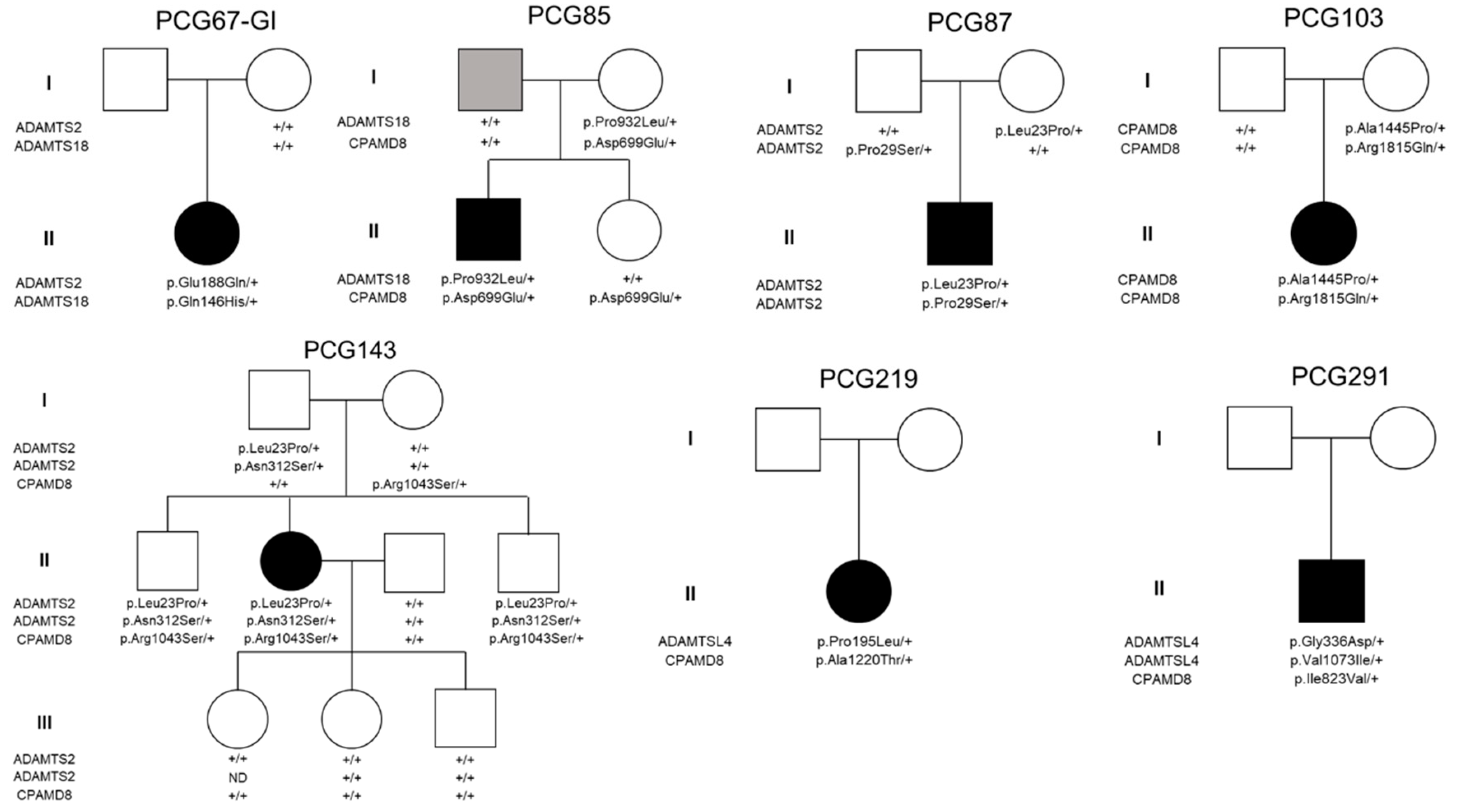 Preprints 98851 g001