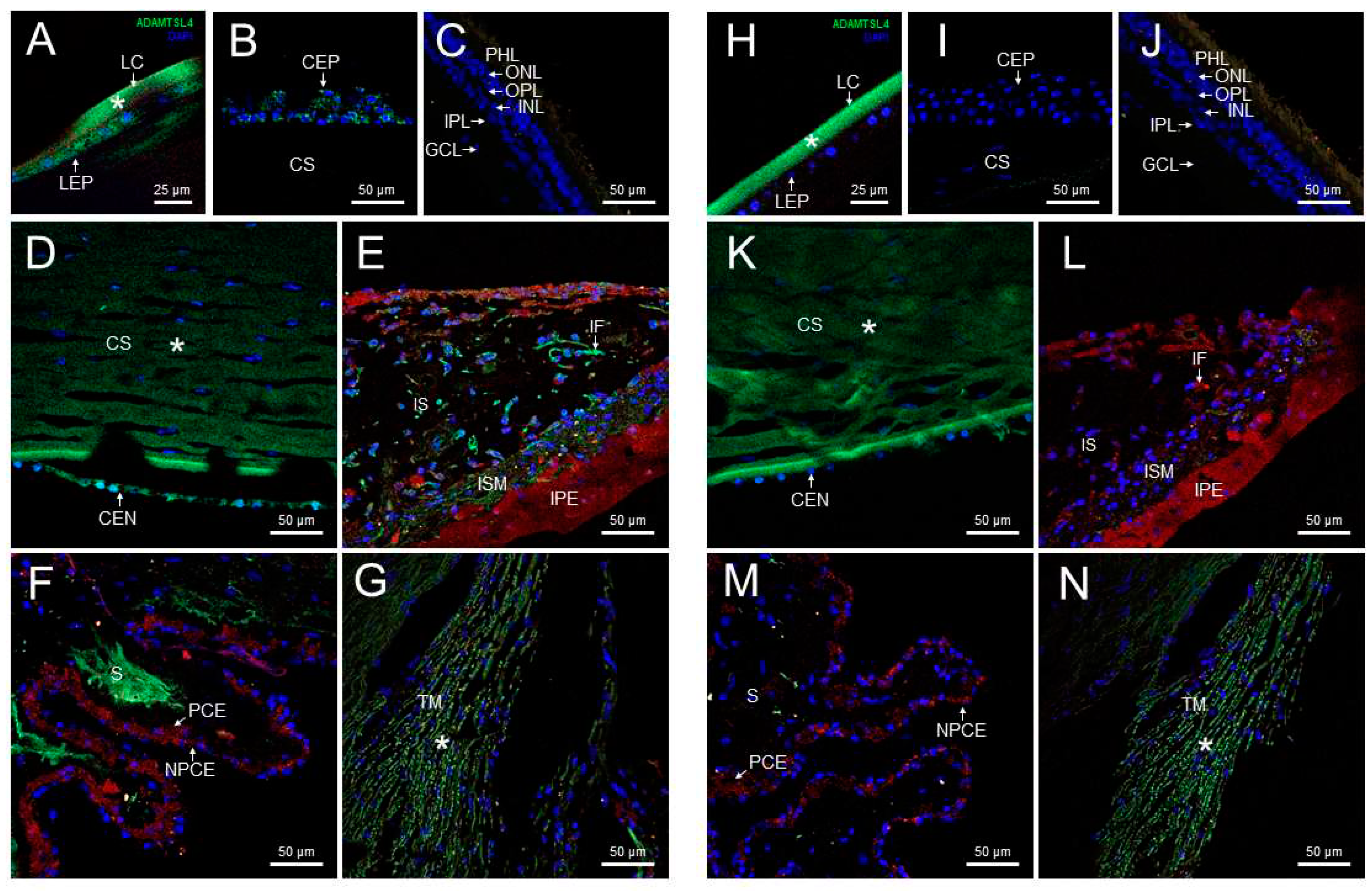 Preprints 98851 g002