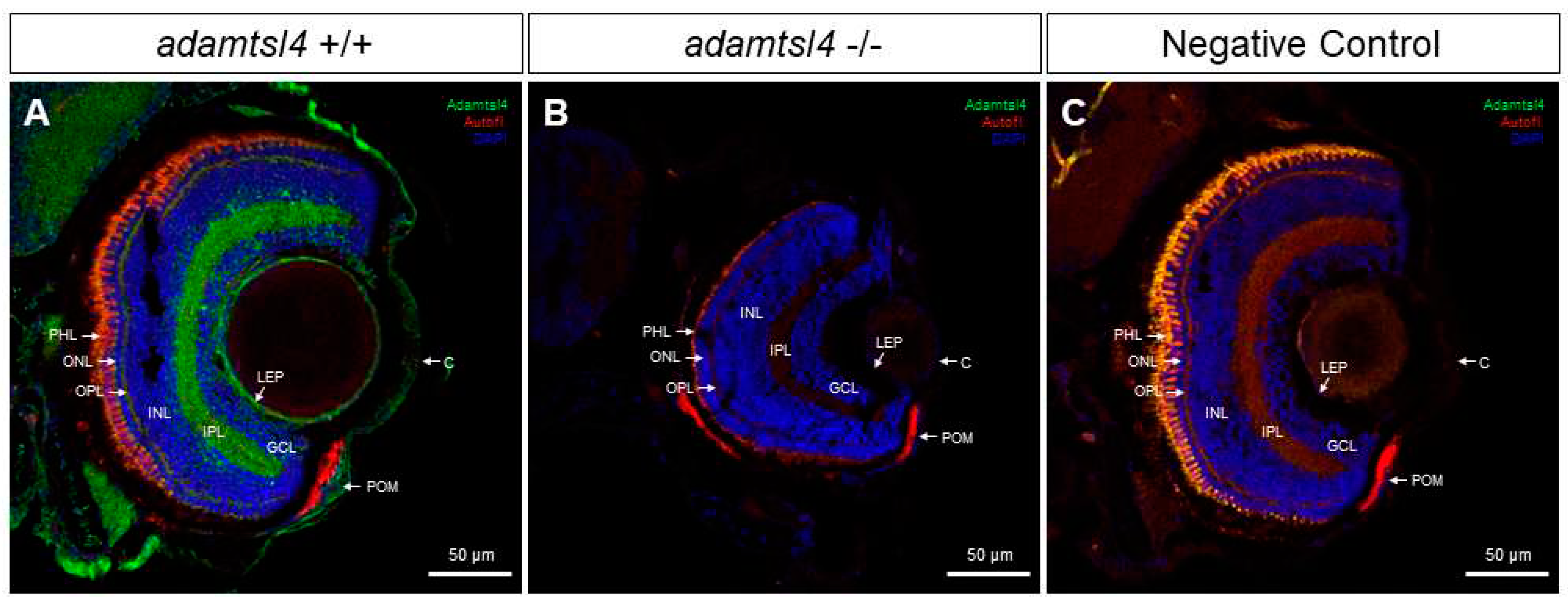 Preprints 98851 g003